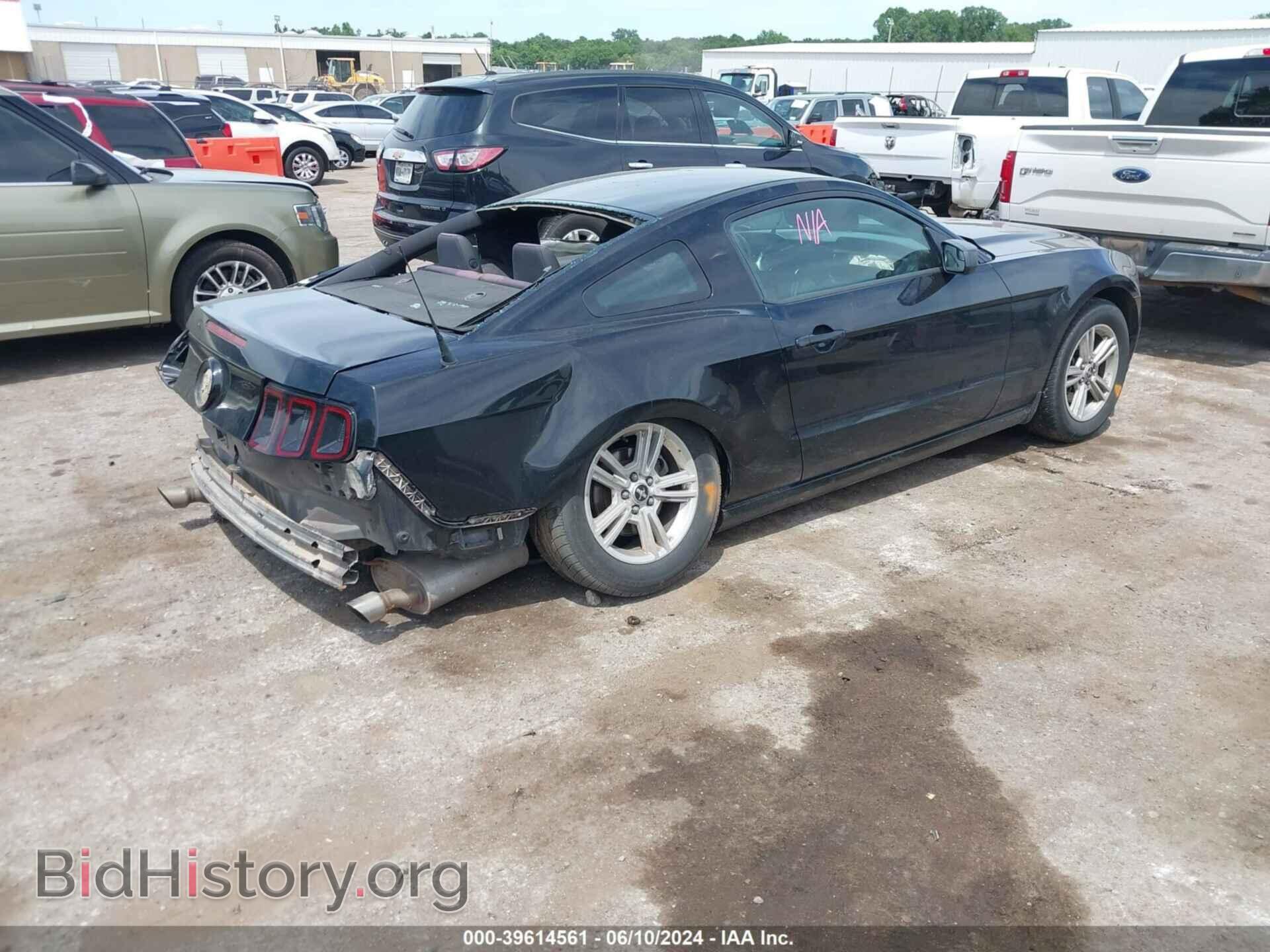 2014 FORD MUSTANG - VIN: 1ZVBP8AM2E5311649 - Фото 4