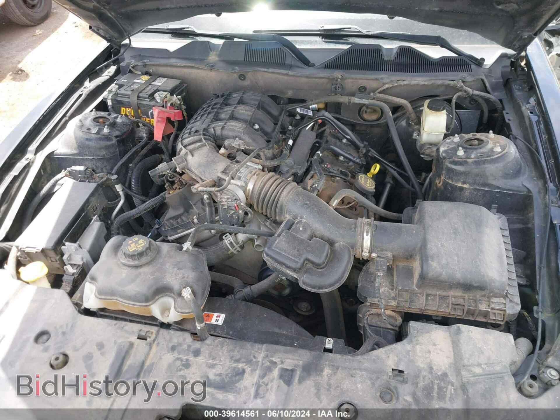 2014 FORD MUSTANG - VIN: 1ZVBP8AM2E5311649 - Фото 10