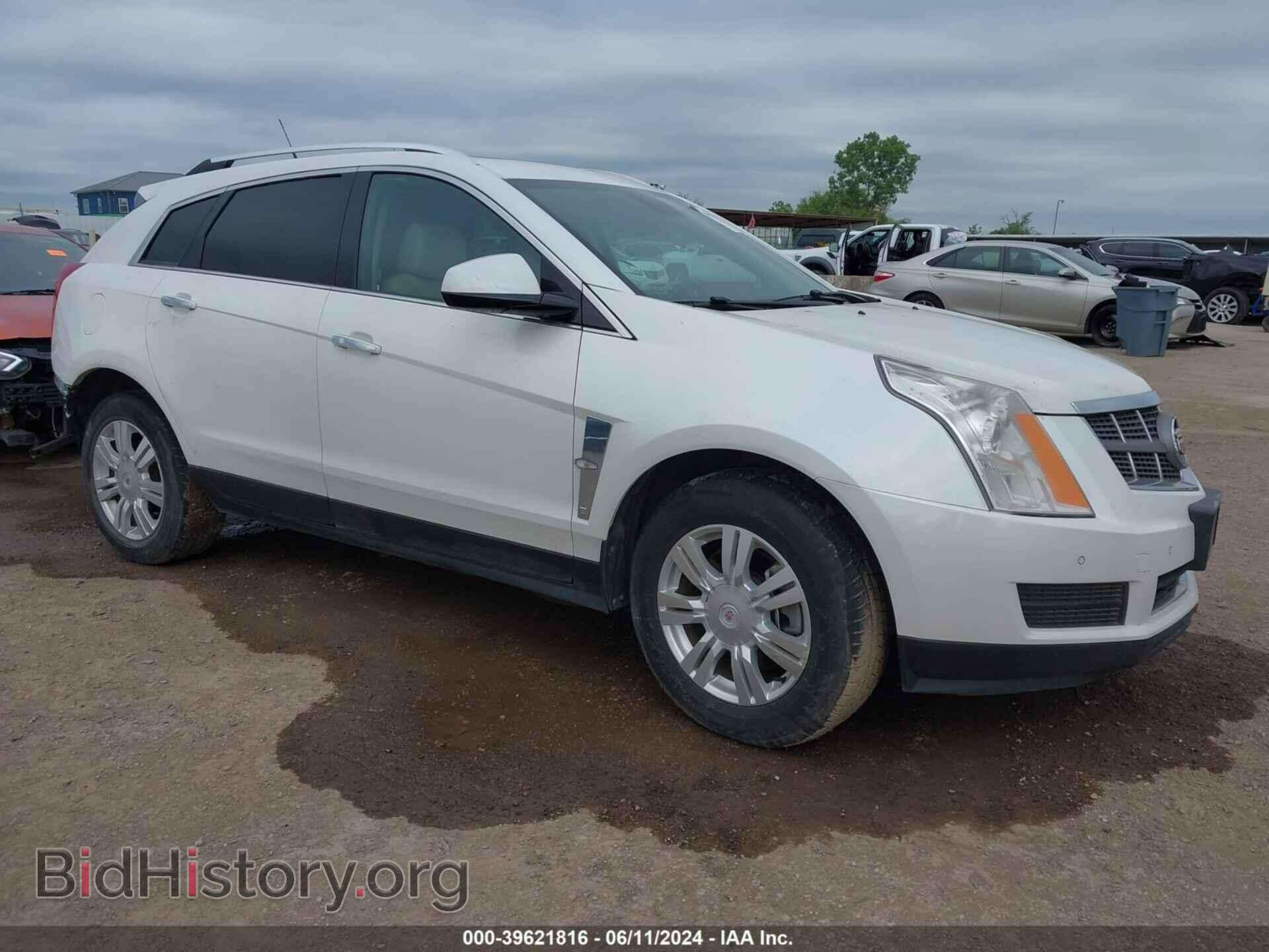 Фотография 3GYFNAE31CS620948 - CADILLAC SRX 2012