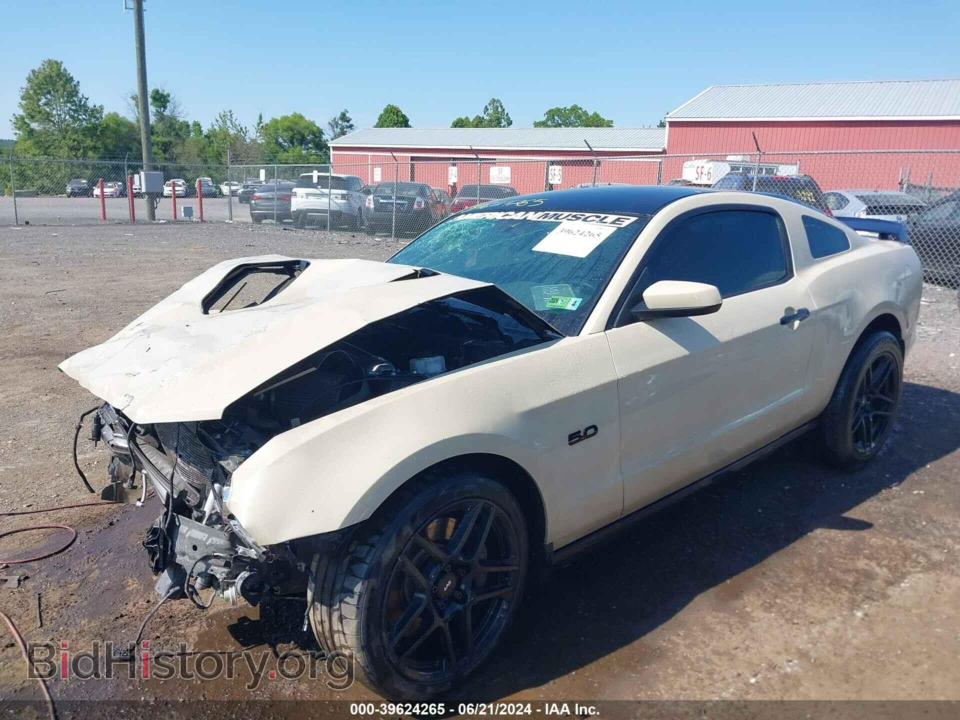 2014 FORD MUSTANG - VIN: 1ZVBP8CF0E5308277 - Фото 2