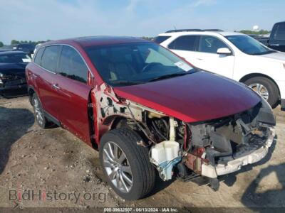 2009 Mazda CX-9 Grand Touring, red — VIN JM3TB38V490170701, IAAI