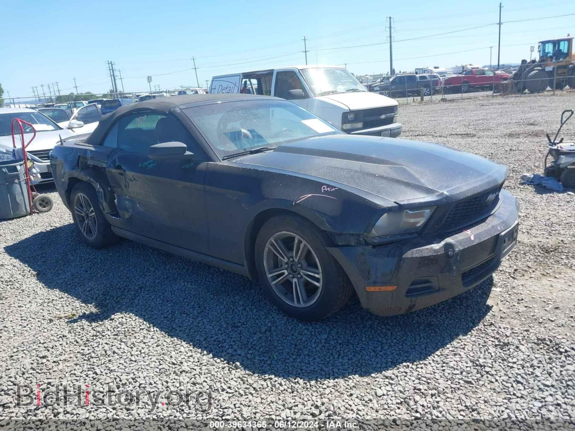 Photo 1ZVBP8EN2A5116695 - FORD MUSTANG 2010