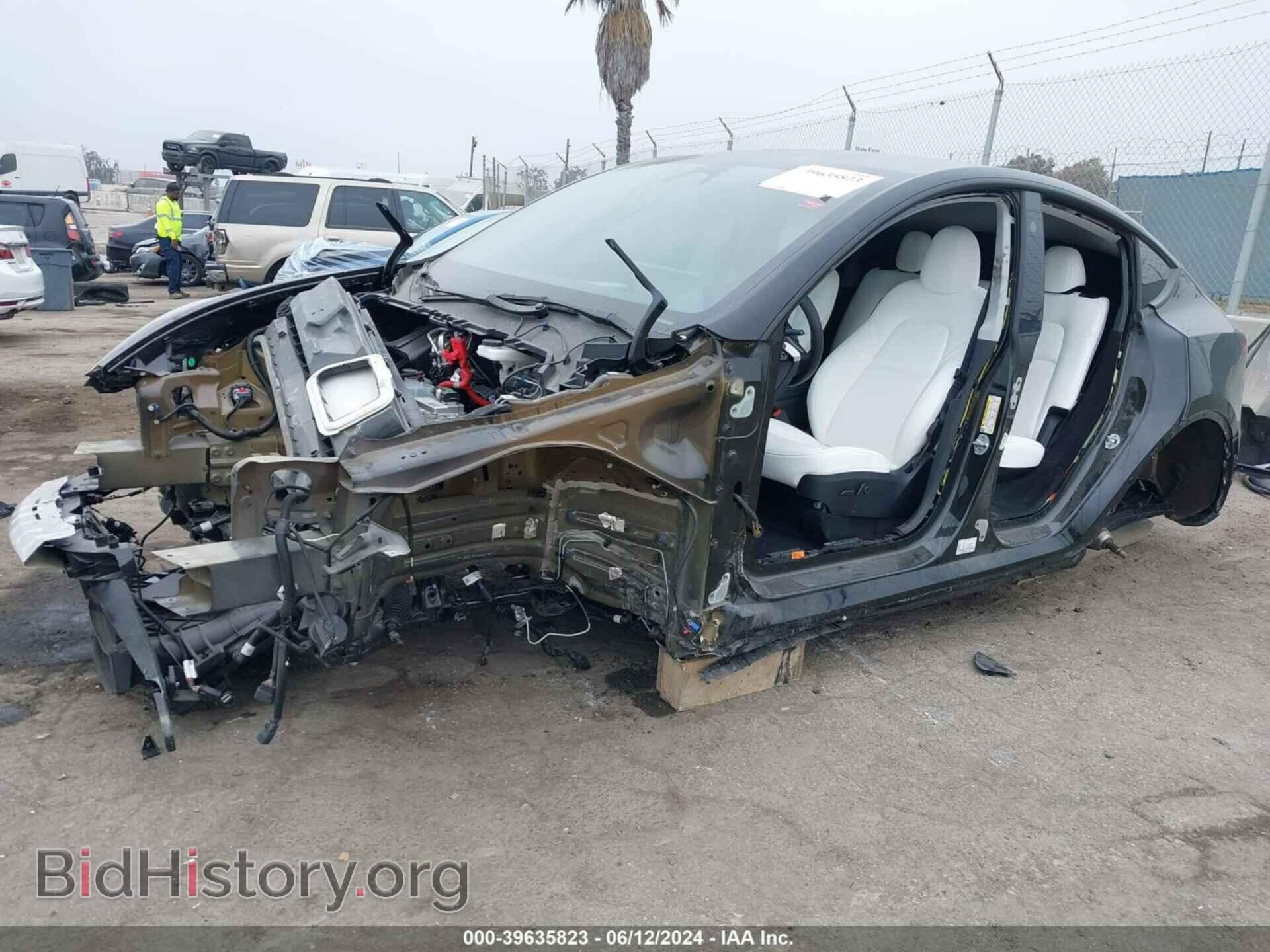 2024 TESLA MODEL Y - VIN: 7SAYGDED1RF033785 - Фото 2