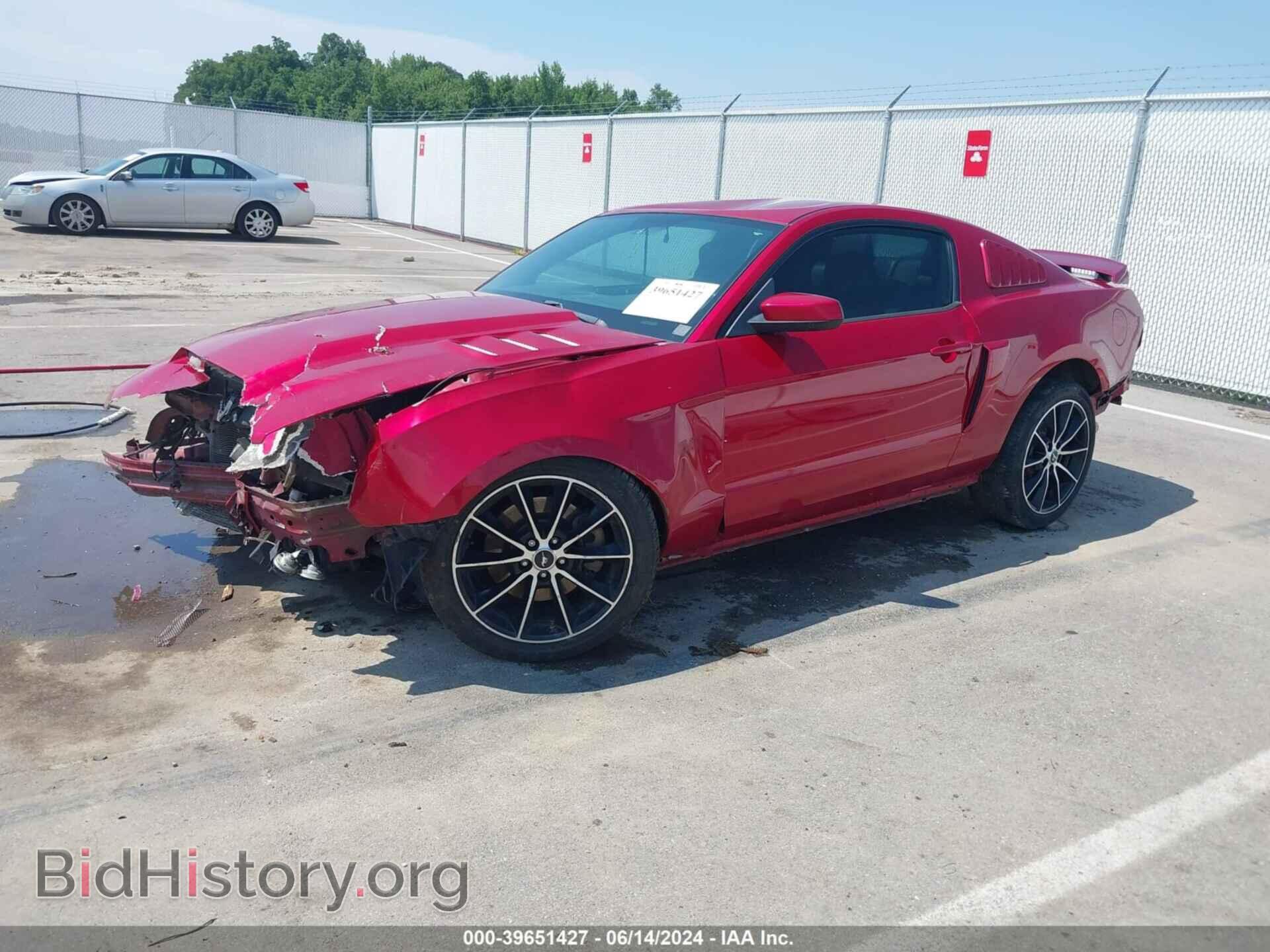 2011 FORD MUSTANG - VIN: 1ZVBP8CF1B5135400 - Фото 2