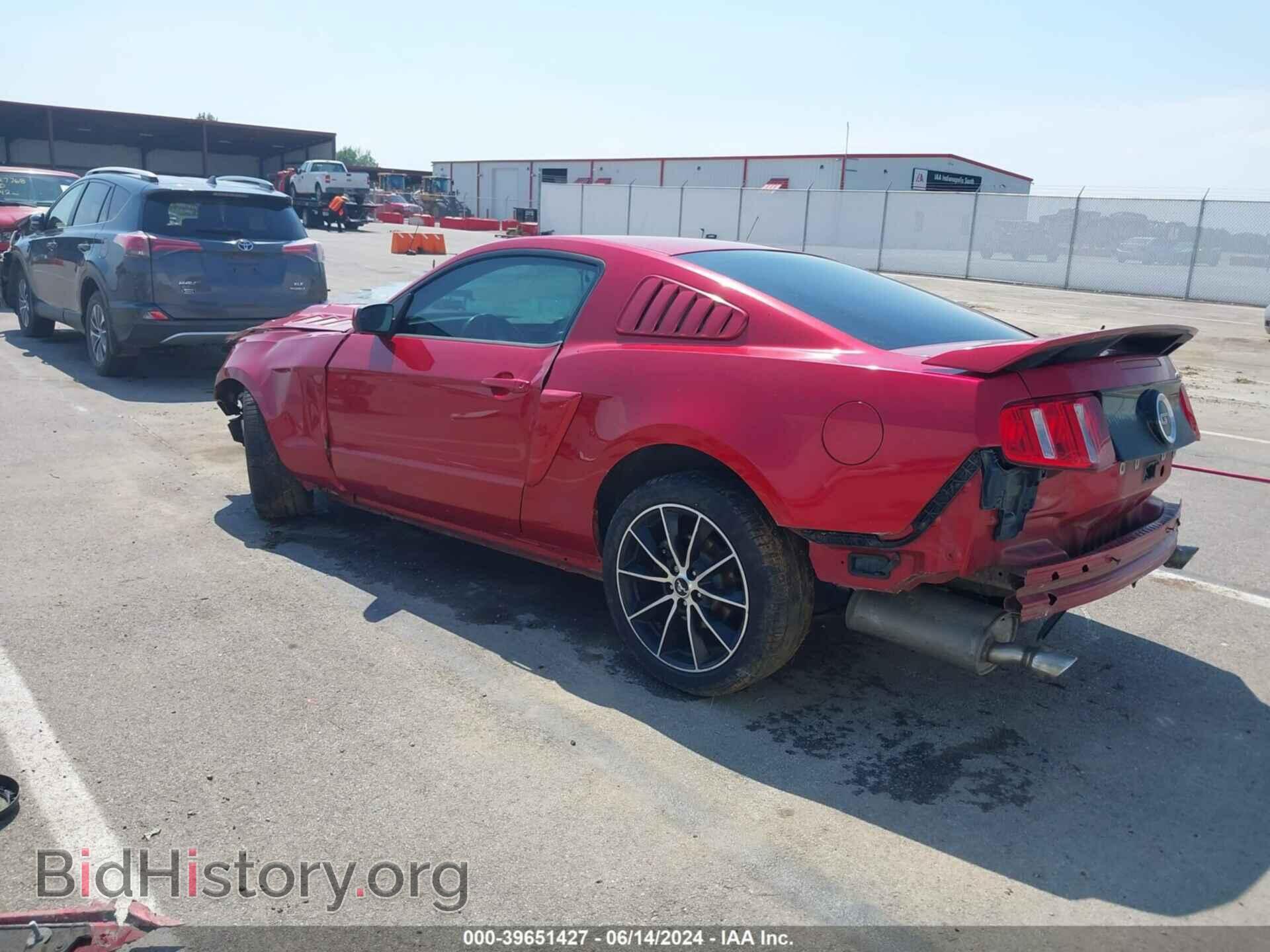 2011 FORD MUSTANG - VIN: 1ZVBP8CF1B5135400 - Фото 3