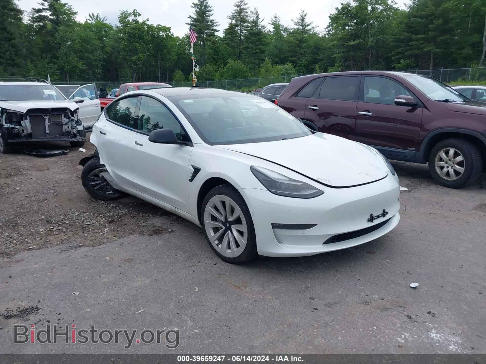 Photo 5YJ3E1EB9MF009365 - TESLA MODEL 3 2021