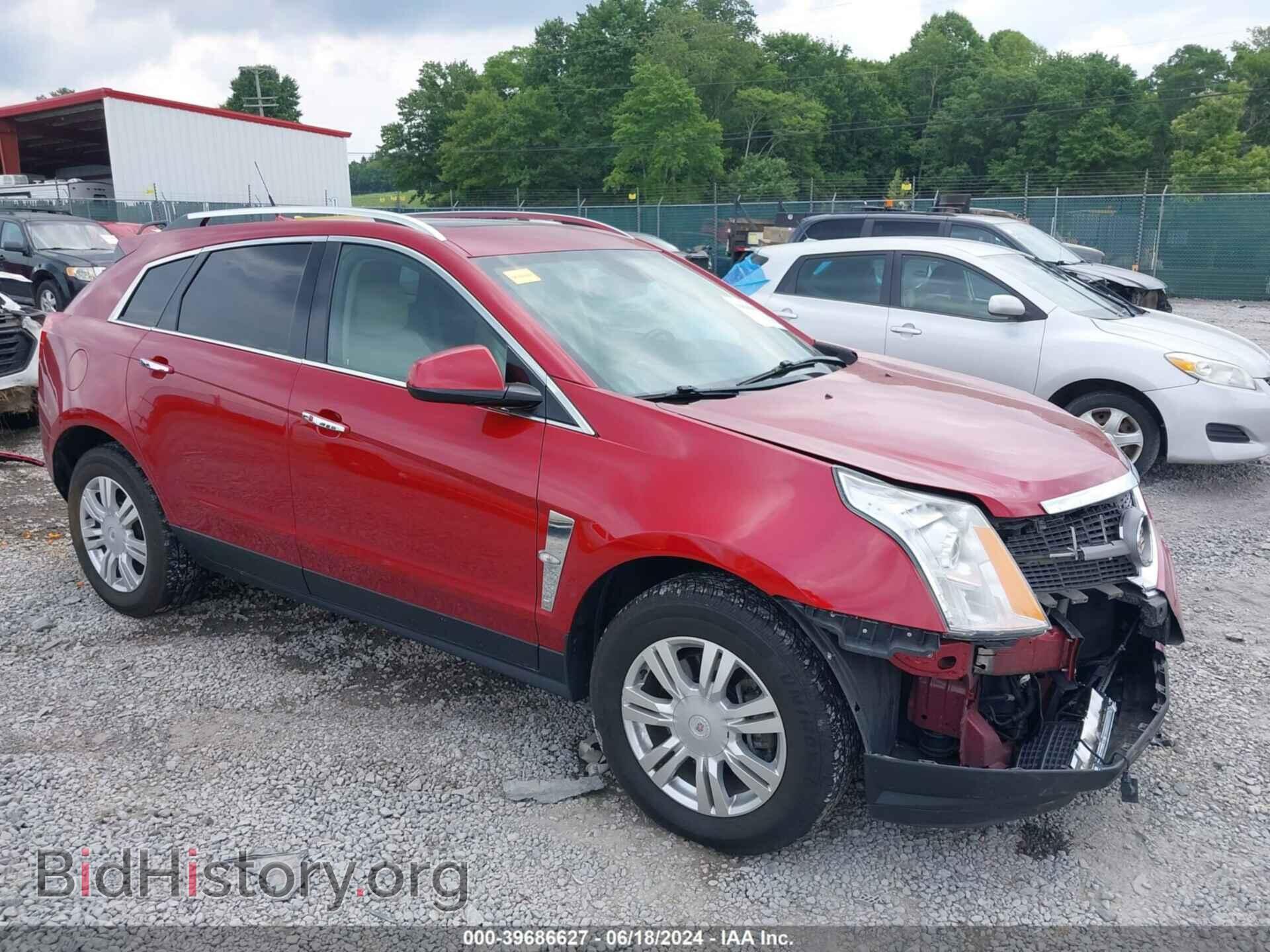 Фотография 3GYFNAEY9BS545278 - CADILLAC SRX 2011