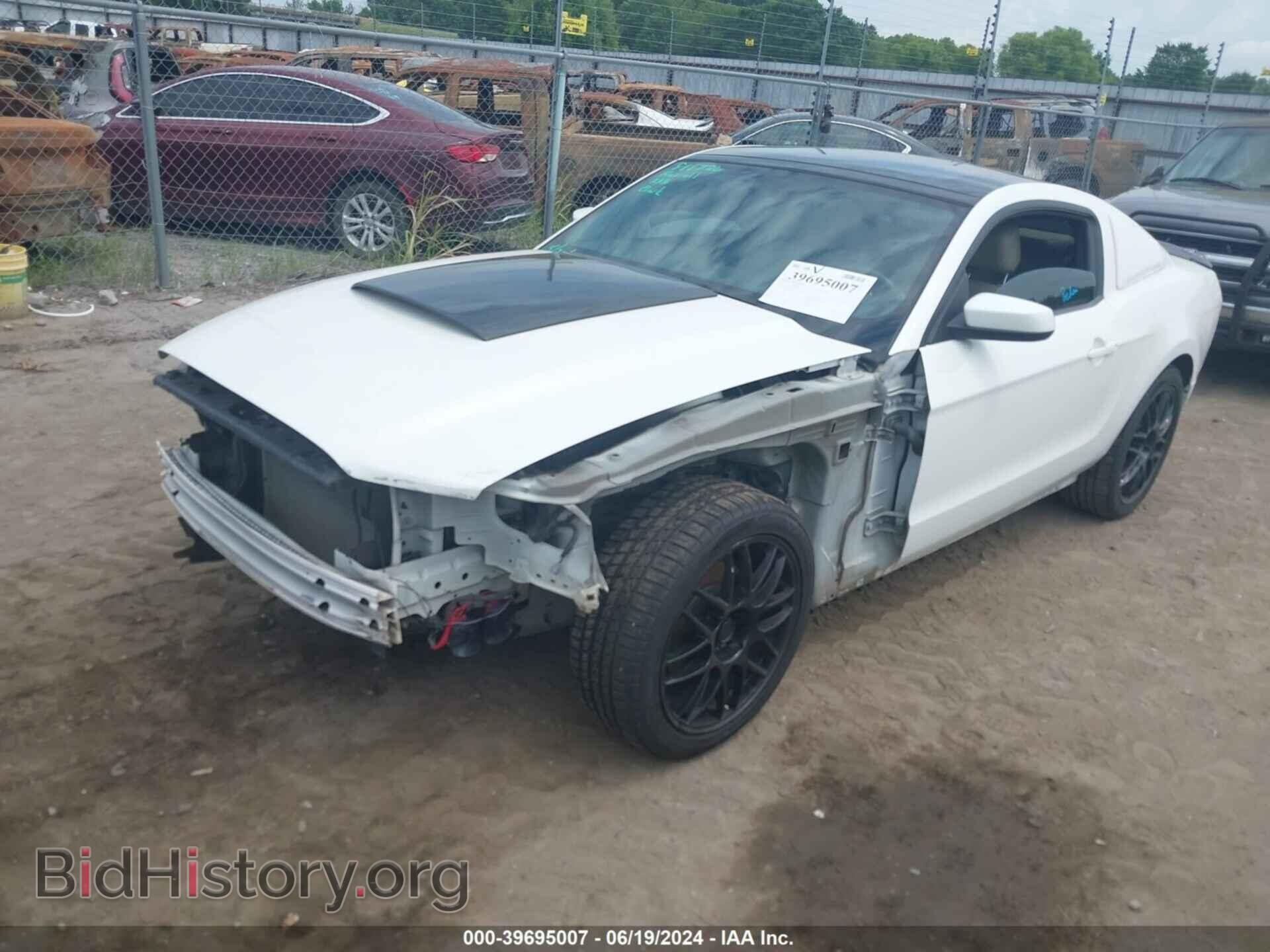 2013 FORD MUSTANG - VIN: 1ZVBP8AM6D5204277 - Фото 2