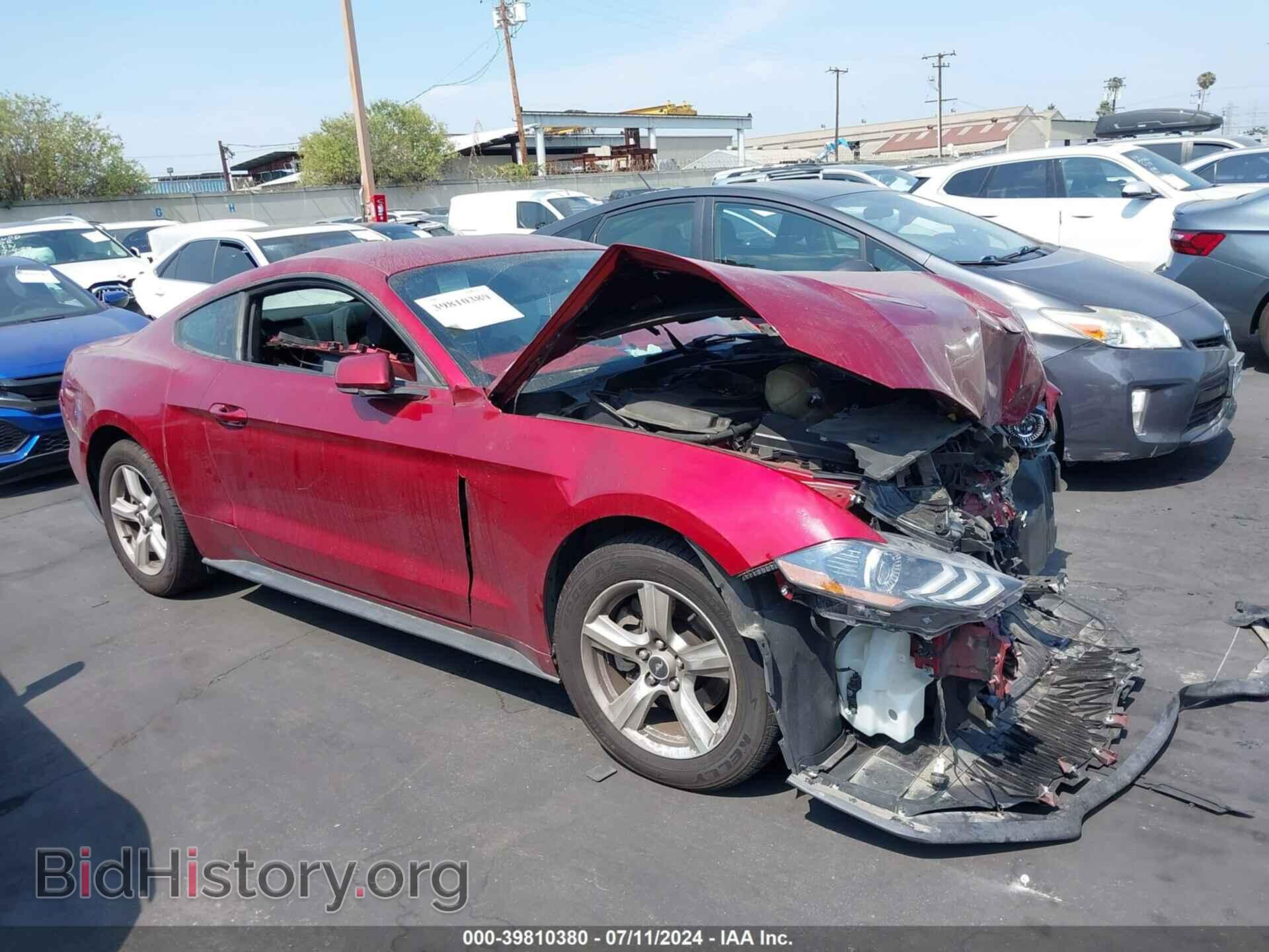 Фотография 1FA6P8THXK5108997 - FORD MUSTANG 2019