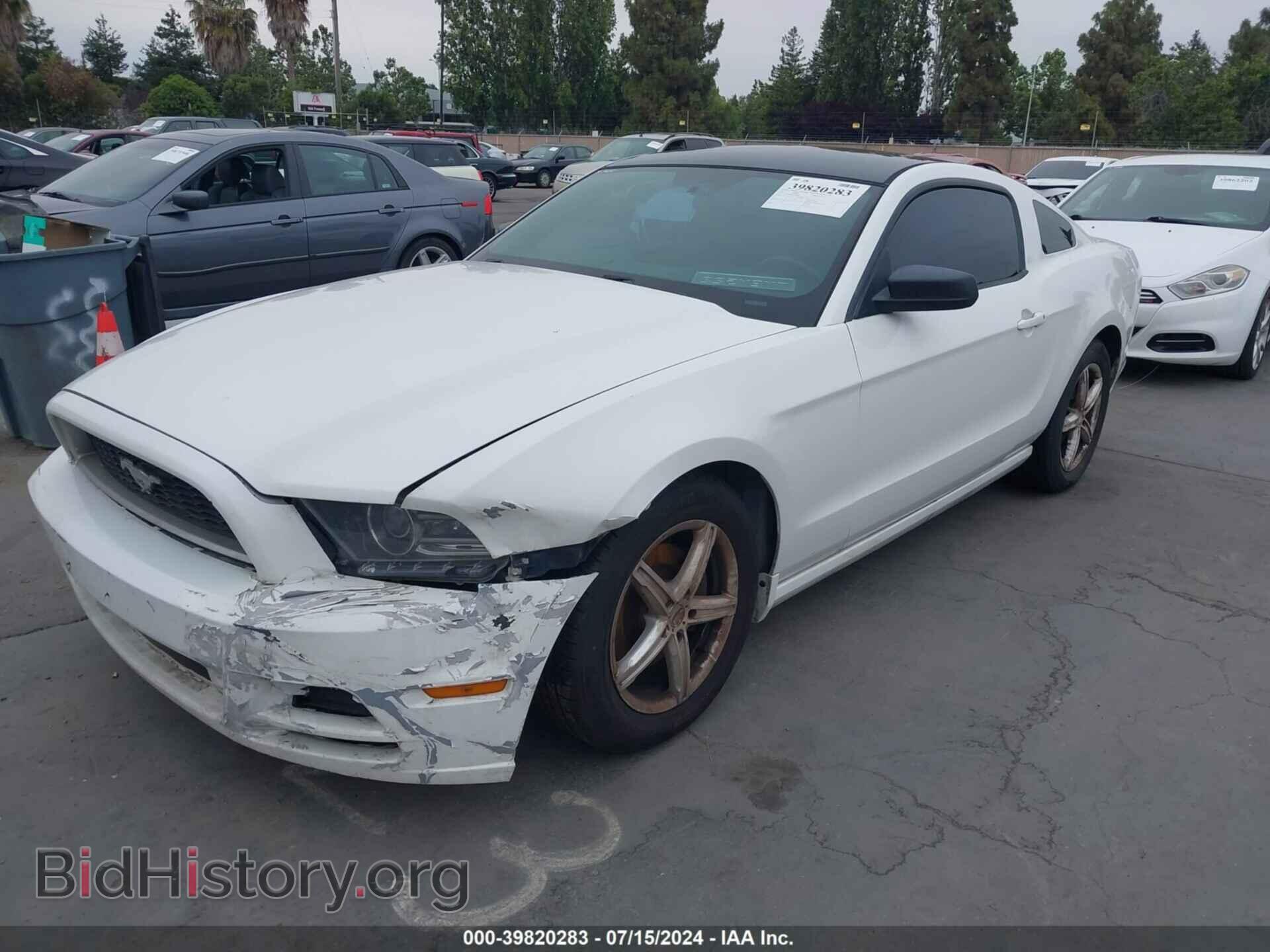 2014 FORD MUSTANG - VIN: 1ZVBP8AM6E5311038 - Фото 2