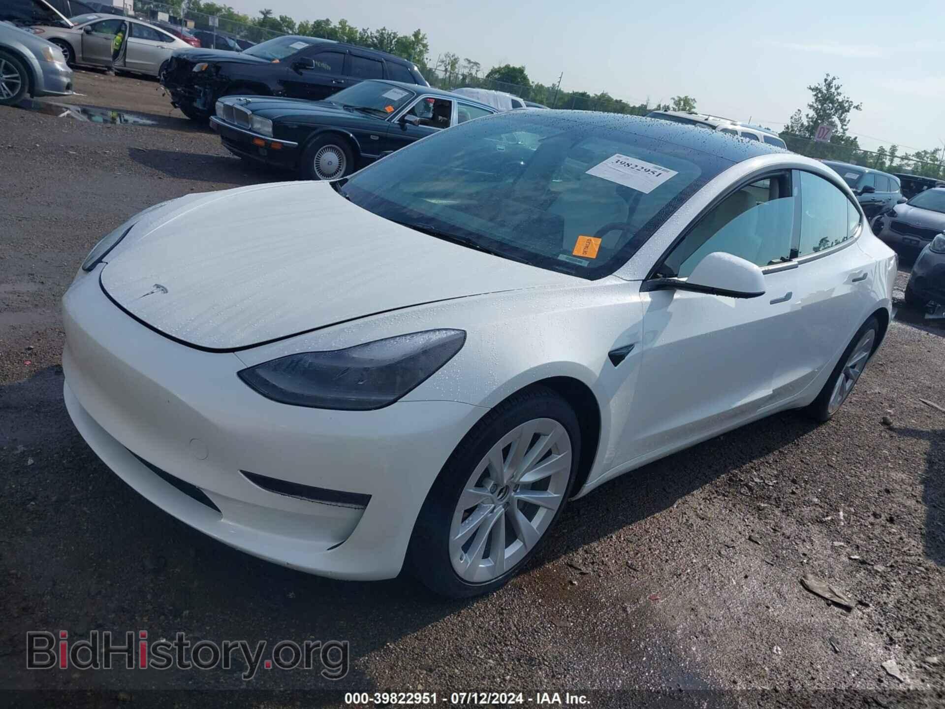 2023 TESLA MODEL 3 - VIN: 5YJ3E1EA3PF488734 - Фото 2