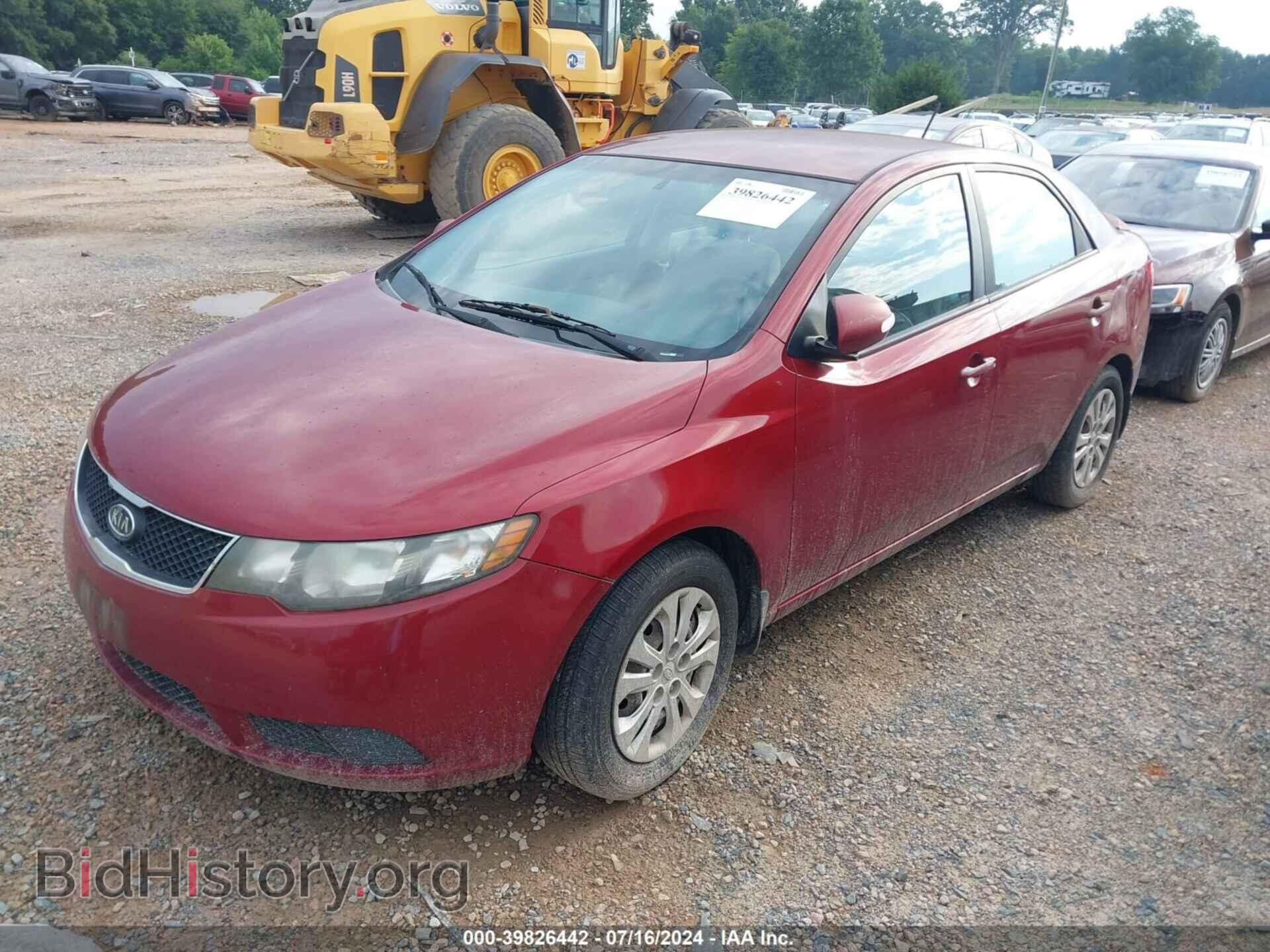 2010 KIA FORTE - VIN: KNAFU4A20A5224991 - Фото 2