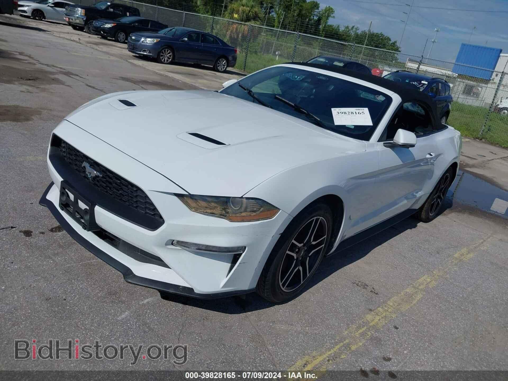 2023 FORD MUSTANG - VIN: 1FATP8UH4P5103237 - Фото 2