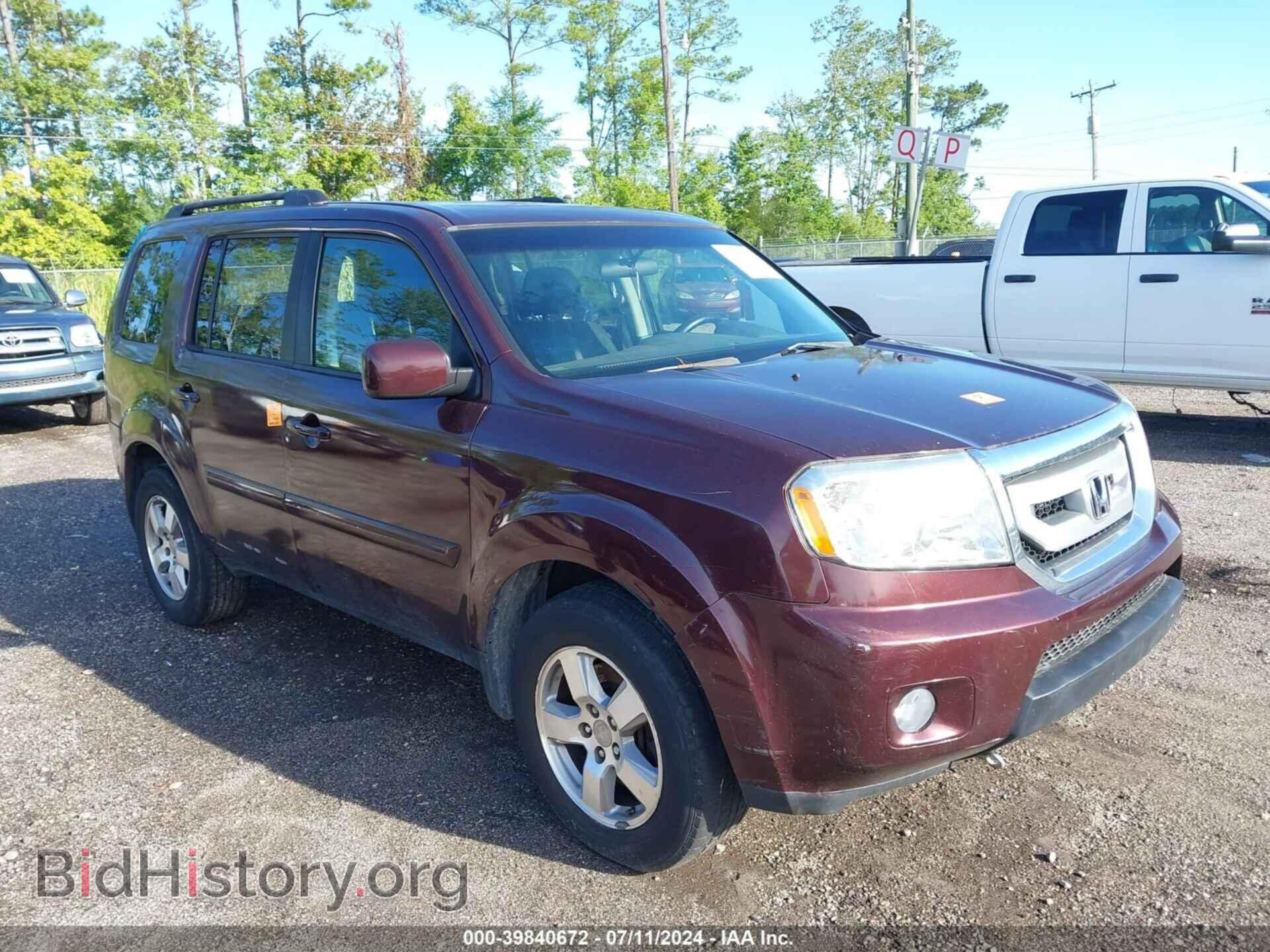 Photo 5FNYF3H46BB009168 - HONDA PILOT 2011