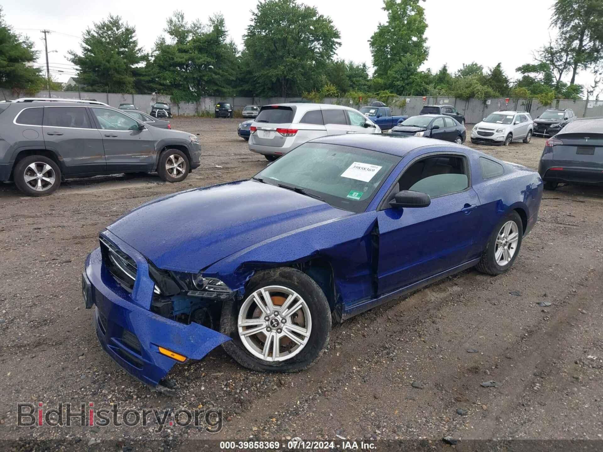 2014 FORD MUSTANG - VIN: 1ZVBP8AM3E5290066 - Фото 2
