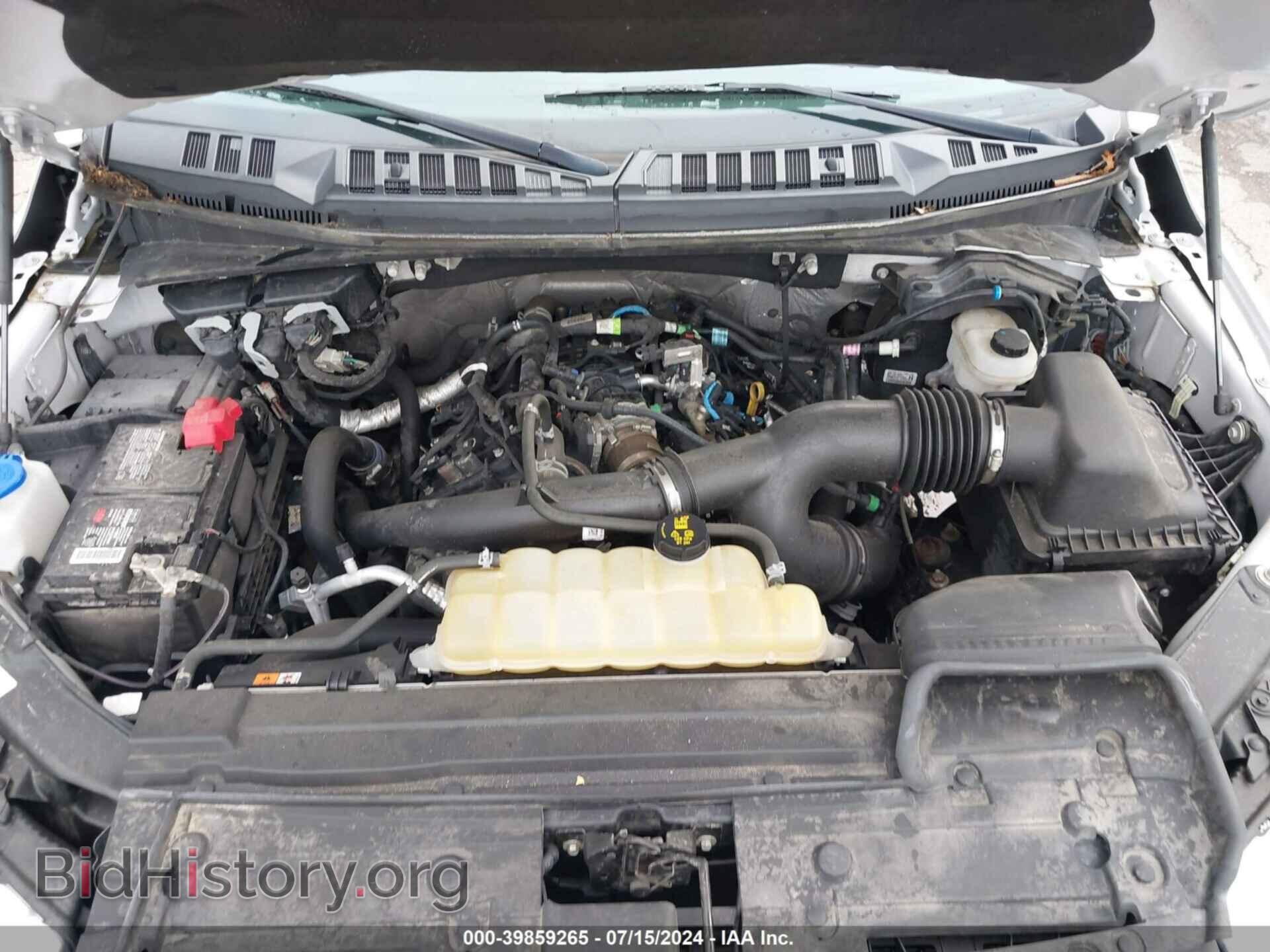 2019 FORD F-150 - VIN: 1FTEW1EP8KFA89557 - Фото 10