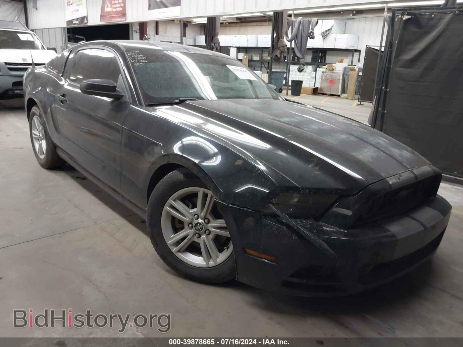Фотография 1ZVBP8AM7E5219694 - FORD MUSTANG 2014