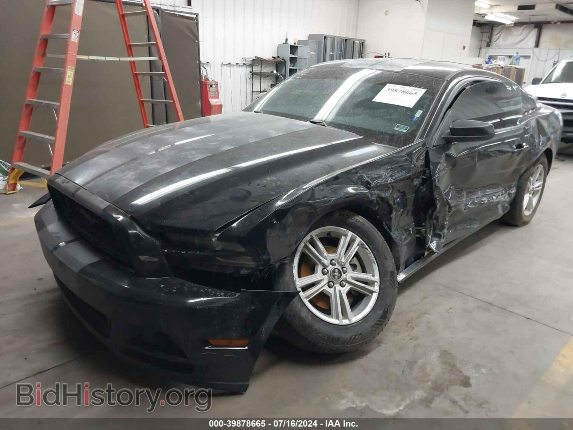 2014 FORD MUSTANG - VIN: 1ZVBP8AM7E5219694 - Фото 2