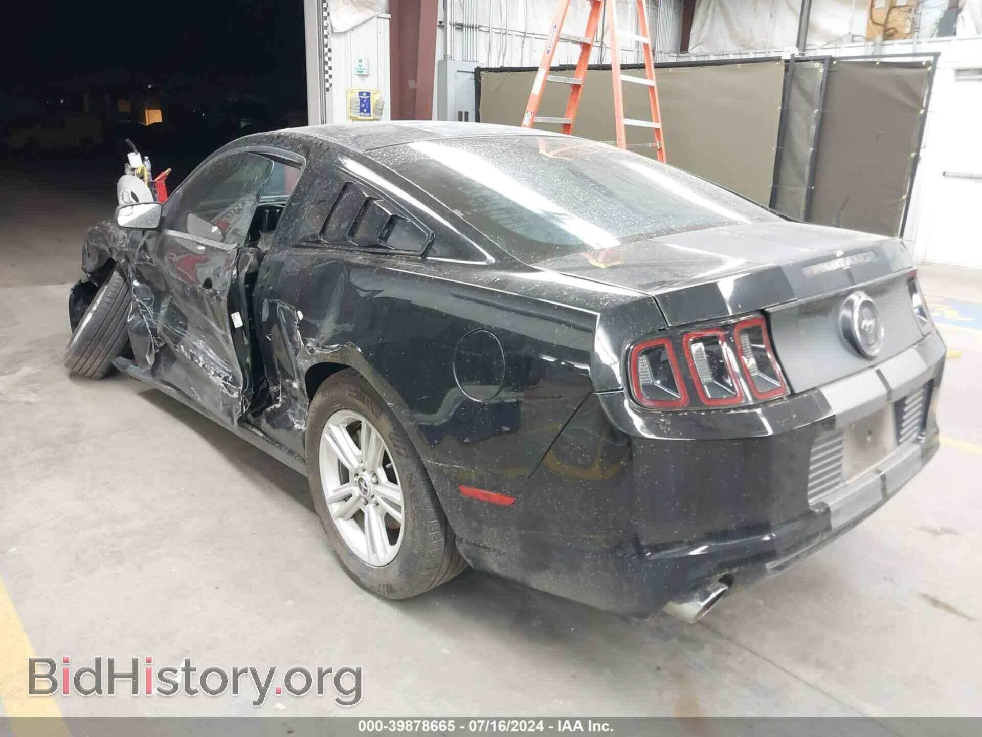2014 FORD MUSTANG - VIN: 1ZVBP8AM7E5219694 - Фото 3