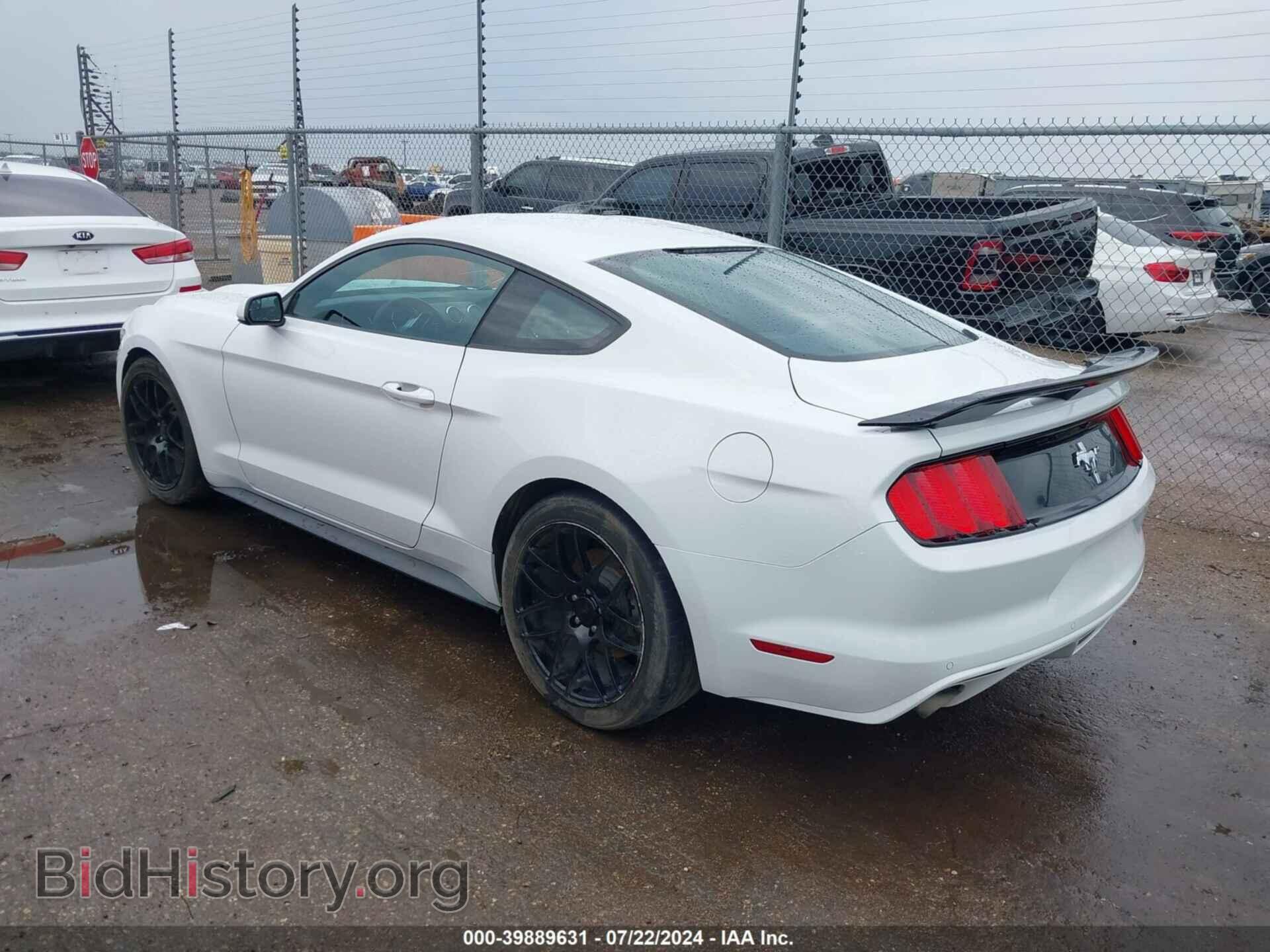 2017 FORD MUSTANG - VIN: 1FA6P8AM5H5340531 - Фото 3