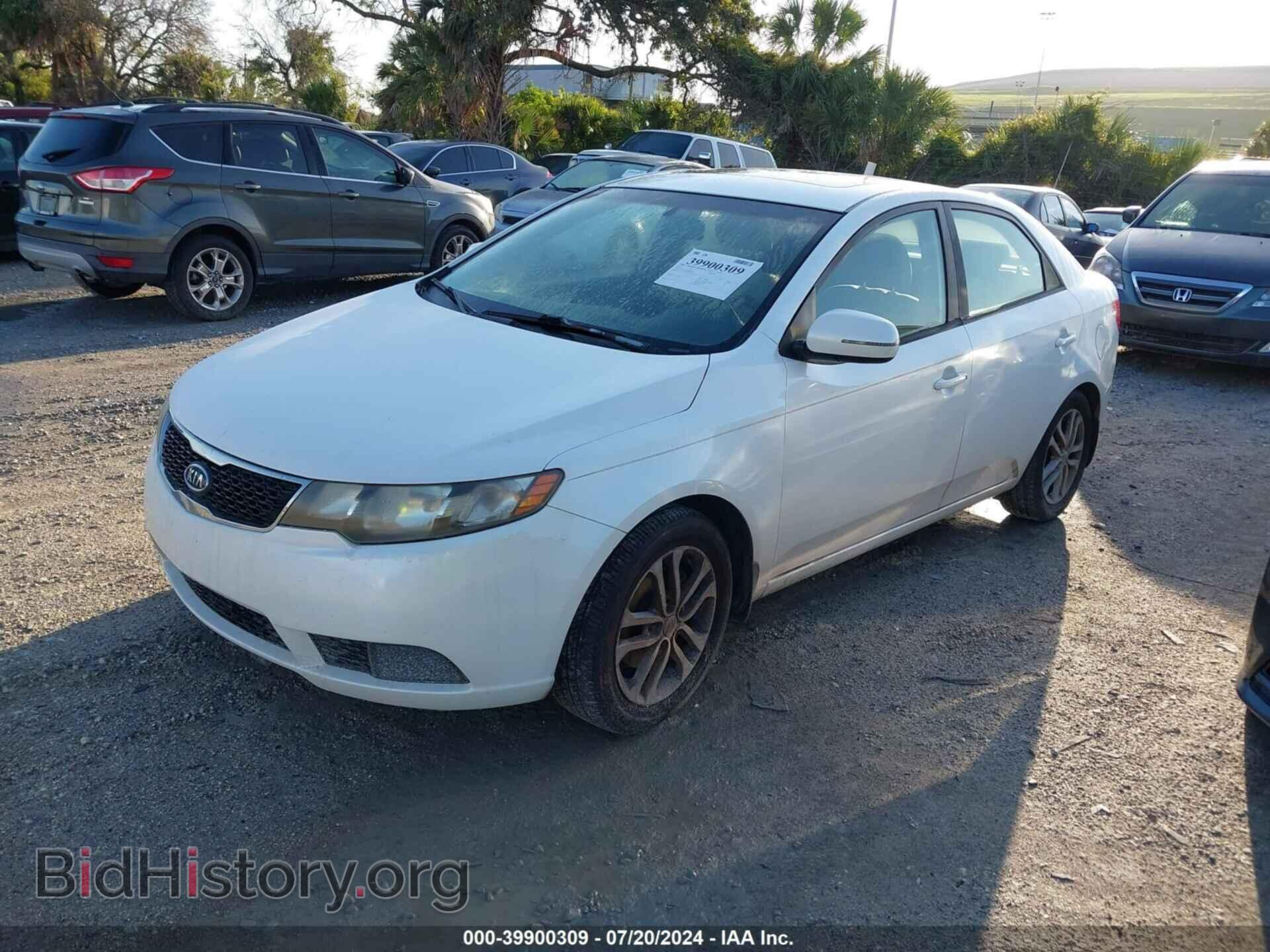 2012 KIA FORTE - VIN: KNAFU4A2XC5566502 - Фото 2