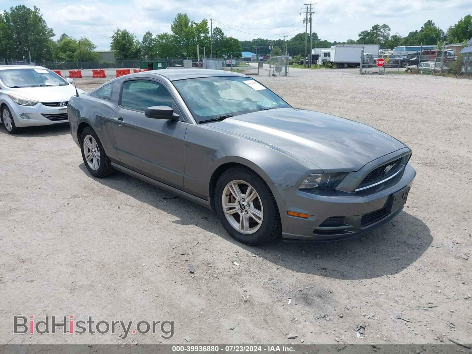 Photo 1ZVBP8AM4E5328730 - FORD MUSTANG 2014