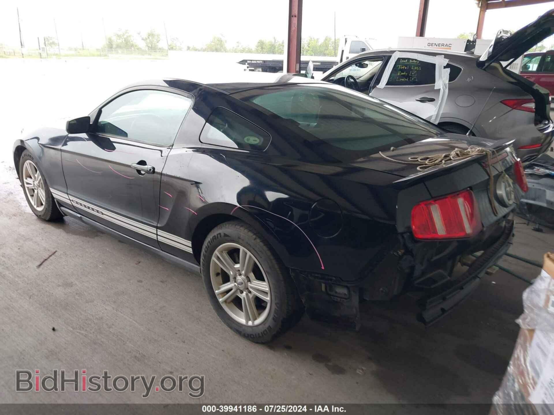 2010 FORD MUSTANG - VIN: 1ZVBP8AN8A5161680 - Фото 3