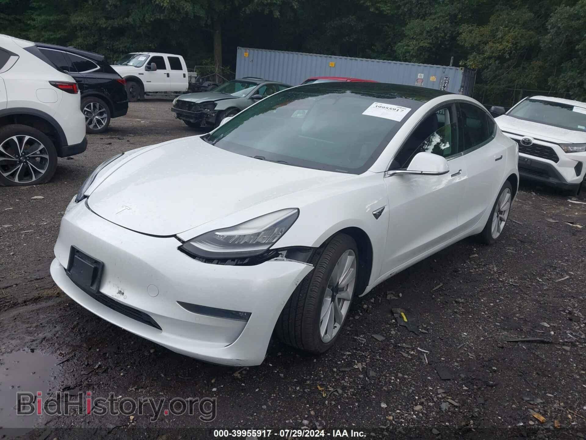 2019 TESLA MODEL 3 - VIN: 5YJ3E1EB0KF194385 - Фото 2