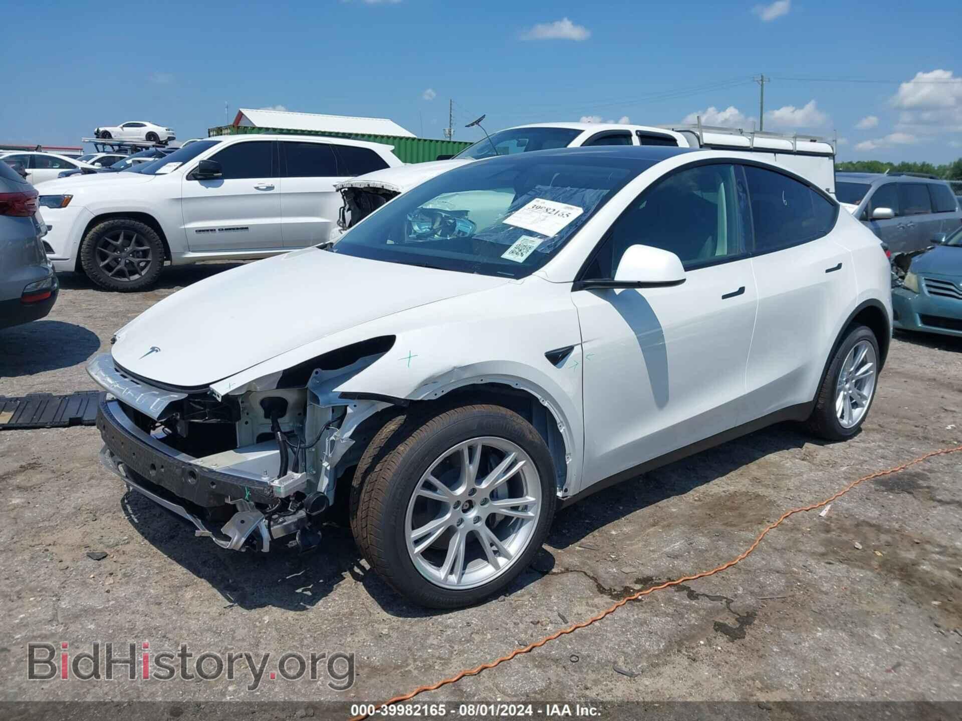 2024 TESLA MODEL Y - VIN: 7SAYGDEE0RF044317 - Фото 2