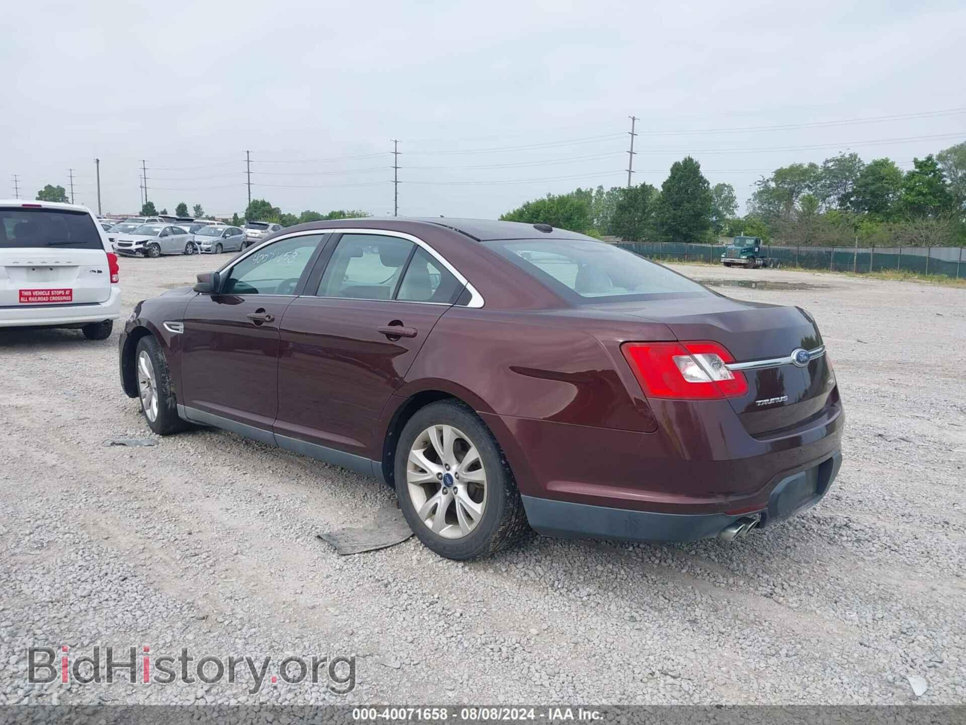 2010 FORD TAURUS - VIN: 1FAHP2EW6AG157229 - Фото 3