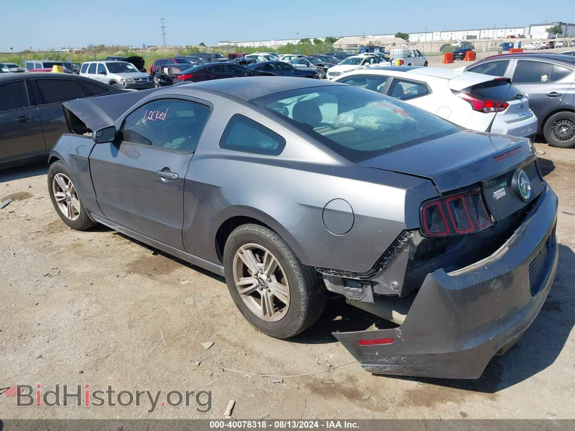 2014 FORD MUSTANG - VIN: 1ZVBP8AM4E5259151 - Фото 3