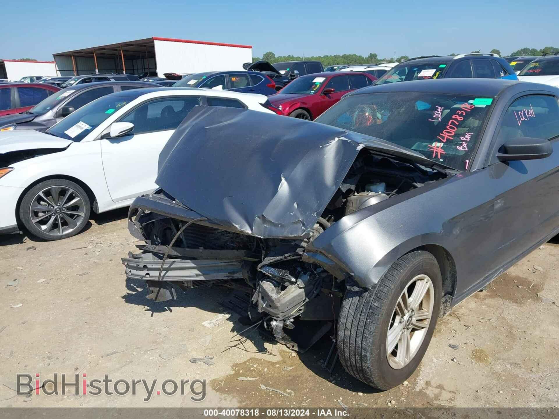 2014 FORD MUSTANG - VIN: 1ZVBP8AM4E5259151 - Фото 6