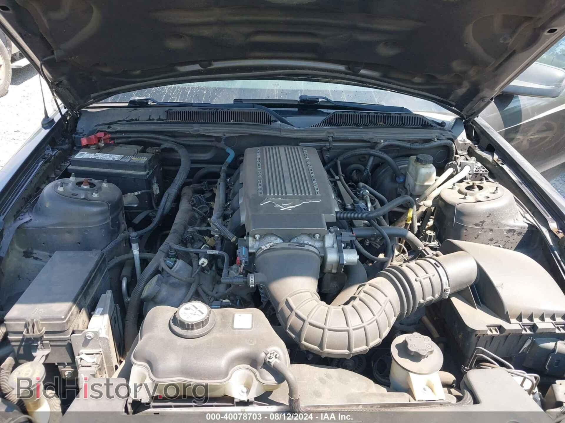 2009 FORD MUSTANG - VIN: 1ZVHT82H095126321 - Фото 10