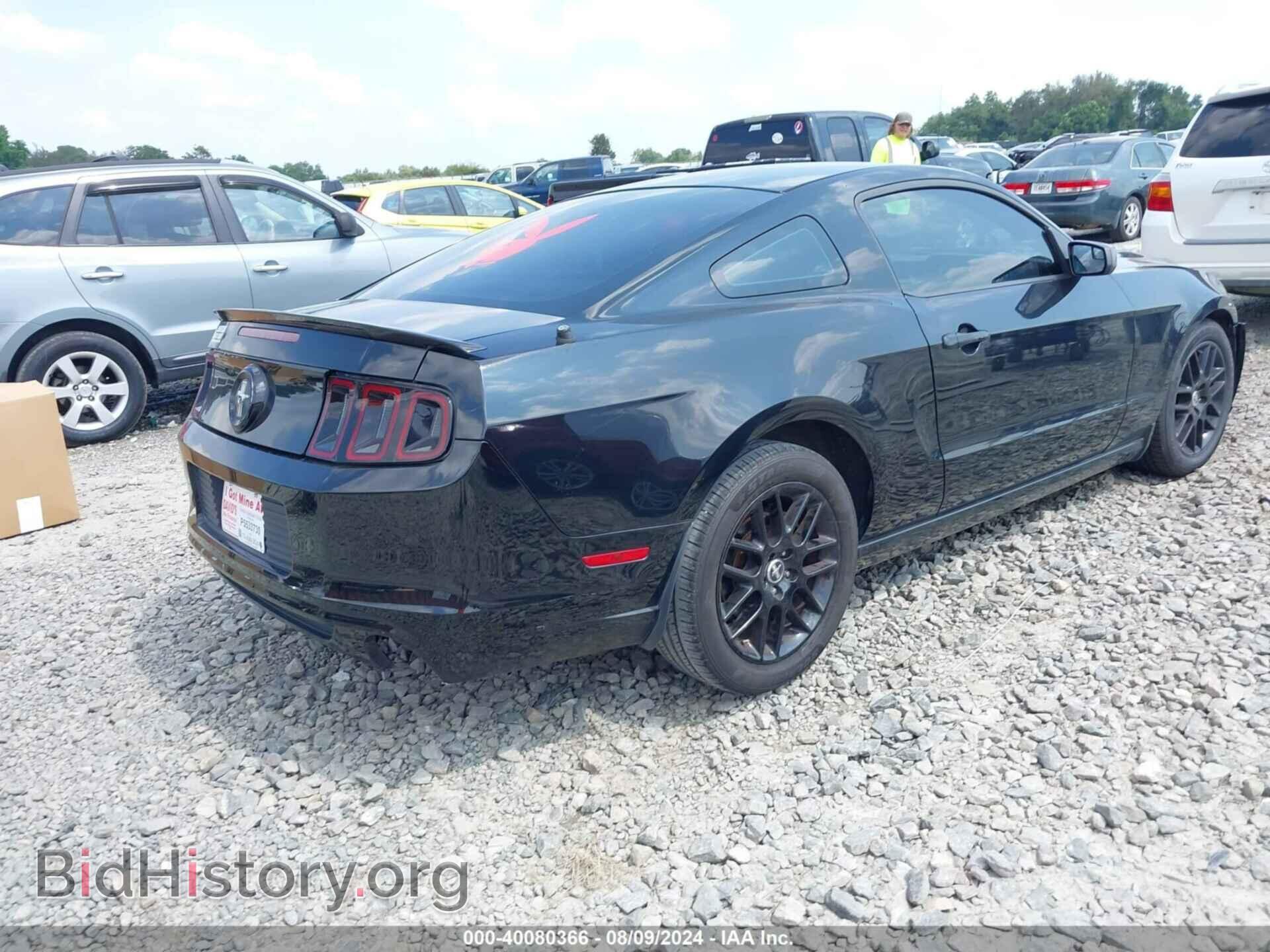 2014 FORD MUSTANG - VIN: 1ZVBP8AM0E5320432 - Фото 2