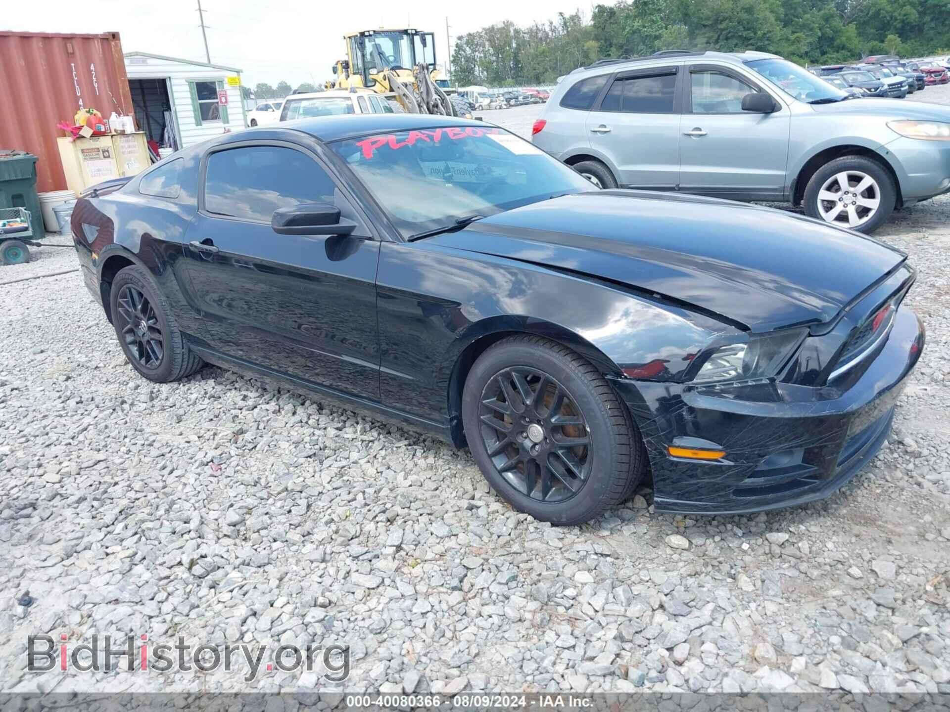 2014 FORD MUSTANG - VIN: 1ZVBP8AM0E5320432 - Фото 3