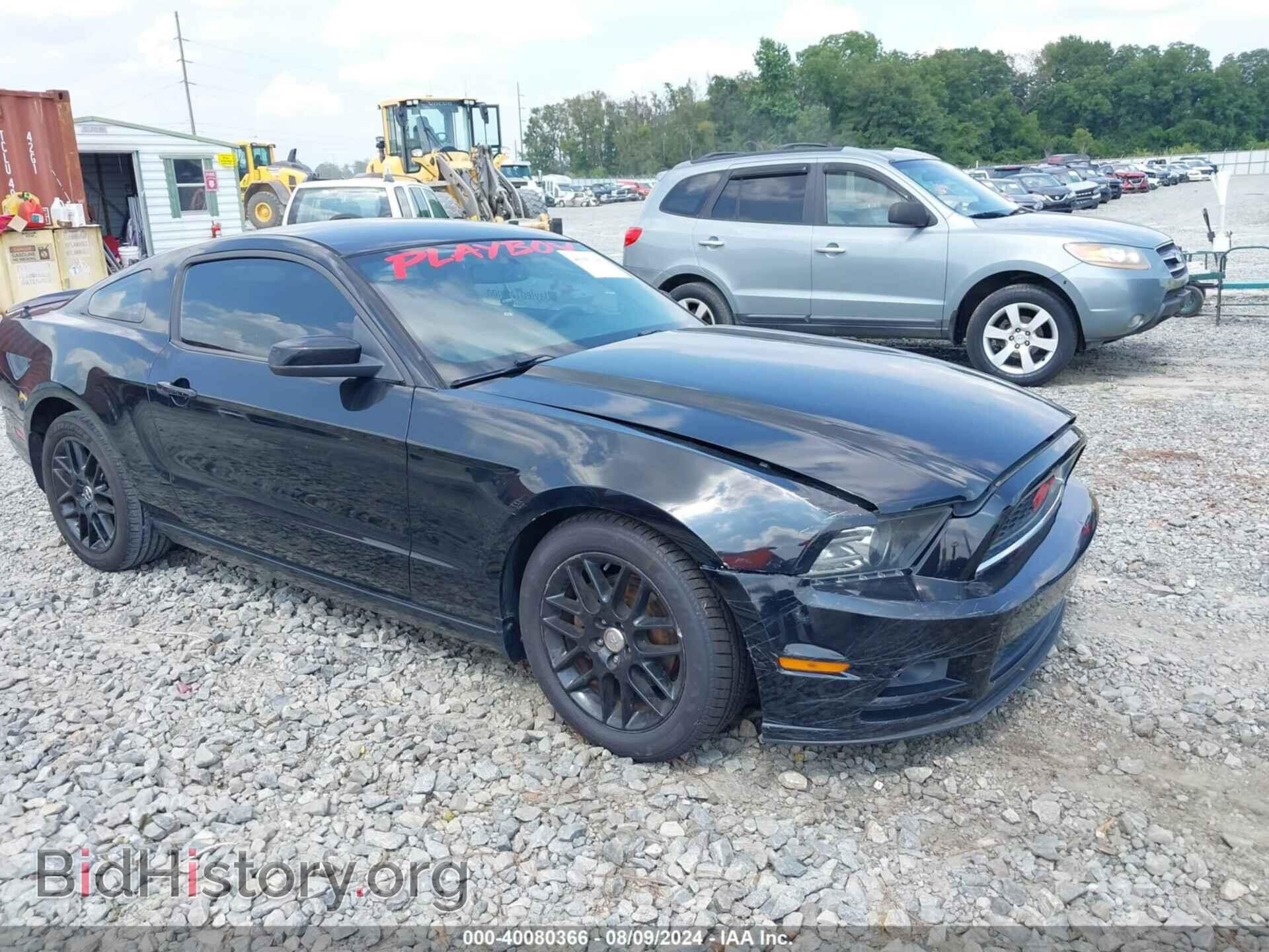 2014 FORD MUSTANG - VIN: 1ZVBP8AM0E5320432 - Фото 6