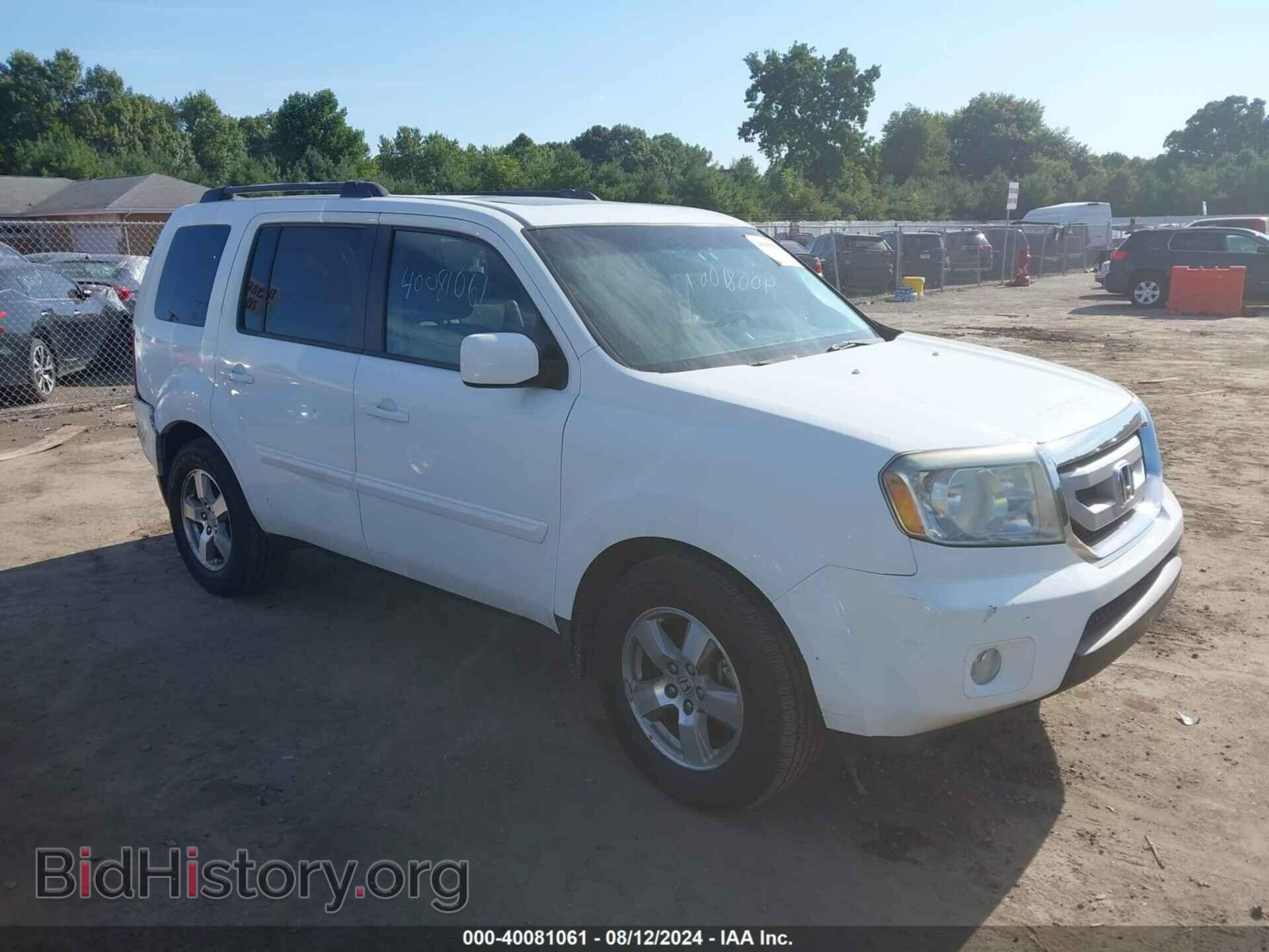 Фотография 5FNYF48529B018233 - HONDA PILOT 2009