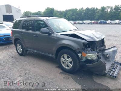 2010 Ford ESCAPE XLT, серый — VIN 1FMCU0DG5AKA03065, IAAI