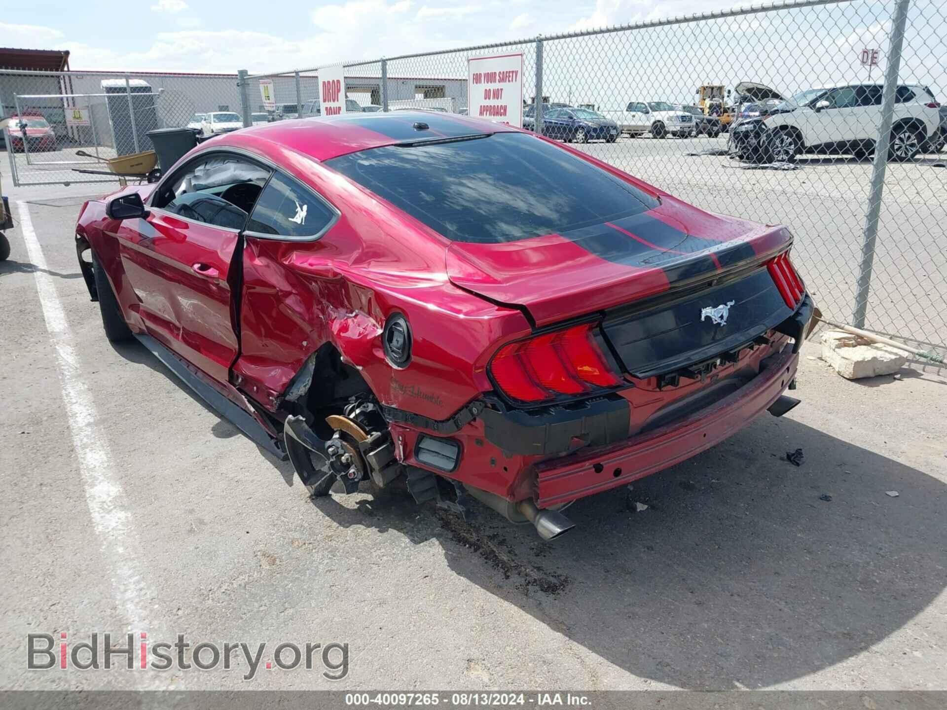 2019 FORD MUSTANG - VIN: 1FA6P8TH1K5130029 - Фото 3