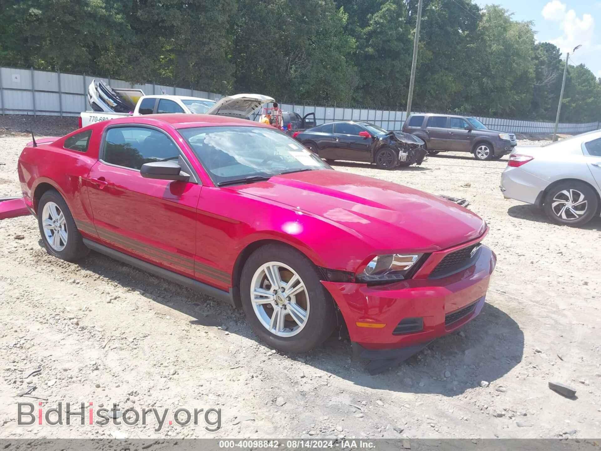 Фотография 1ZVBP8AM5C5274223 - FORD MUSTANG 2012