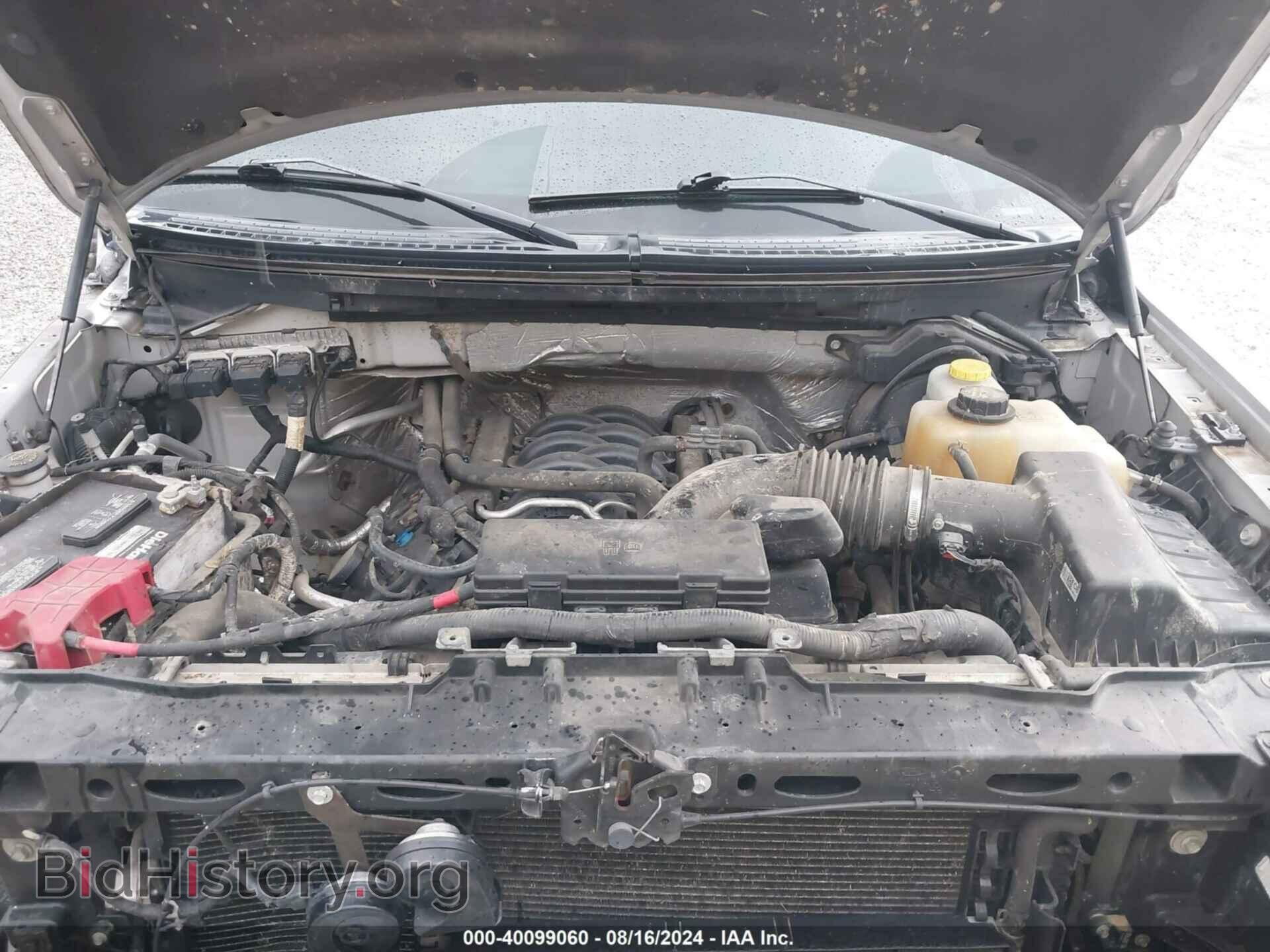 2014 FORD F-150 - VIN: 1FTFW1EF1EFB08000 - Photo 10