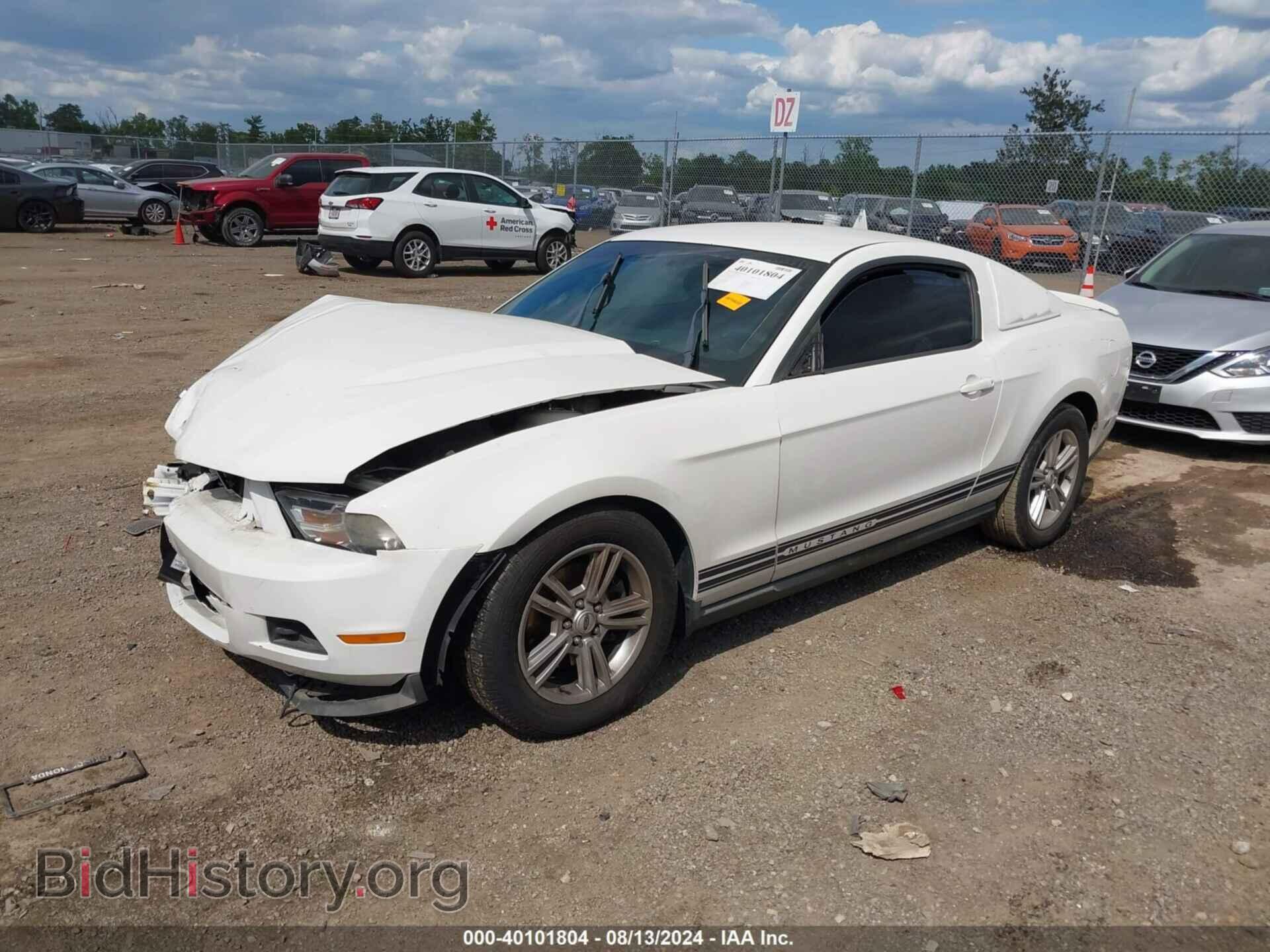 2011 FORD MUSTANG - VIN: 1ZVBP8AMXB5115597 - Фото 2