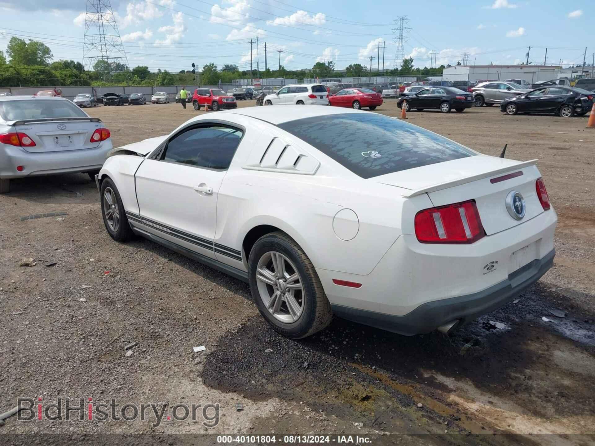 2011 FORD MUSTANG - VIN: 1ZVBP8AMXB5115597 - Фото 3