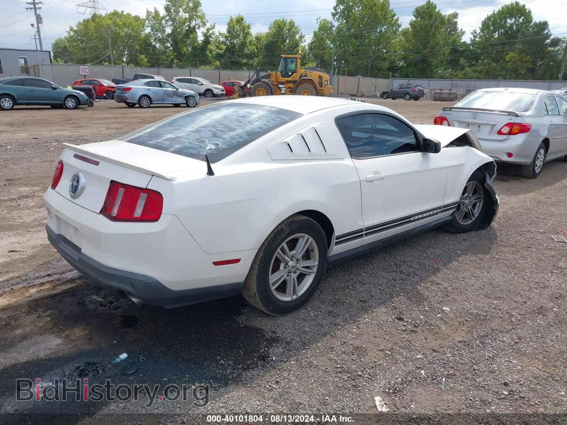 2011 FORD MUSTANG - VIN: 1ZVBP8AMXB5115597 - Фото 4