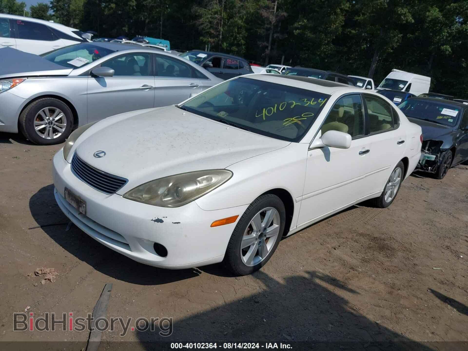 2006 LEXUS ES 330 - VIN: JTHBA30G865161551 - Фото 2