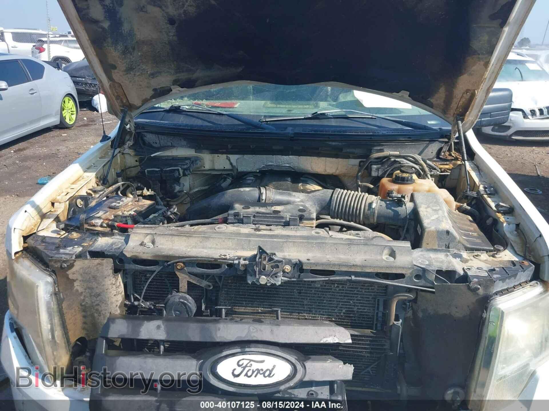 2012 FORD F-150 - VIN: 1FTFX1ET3CFA59690 - Фото 10
