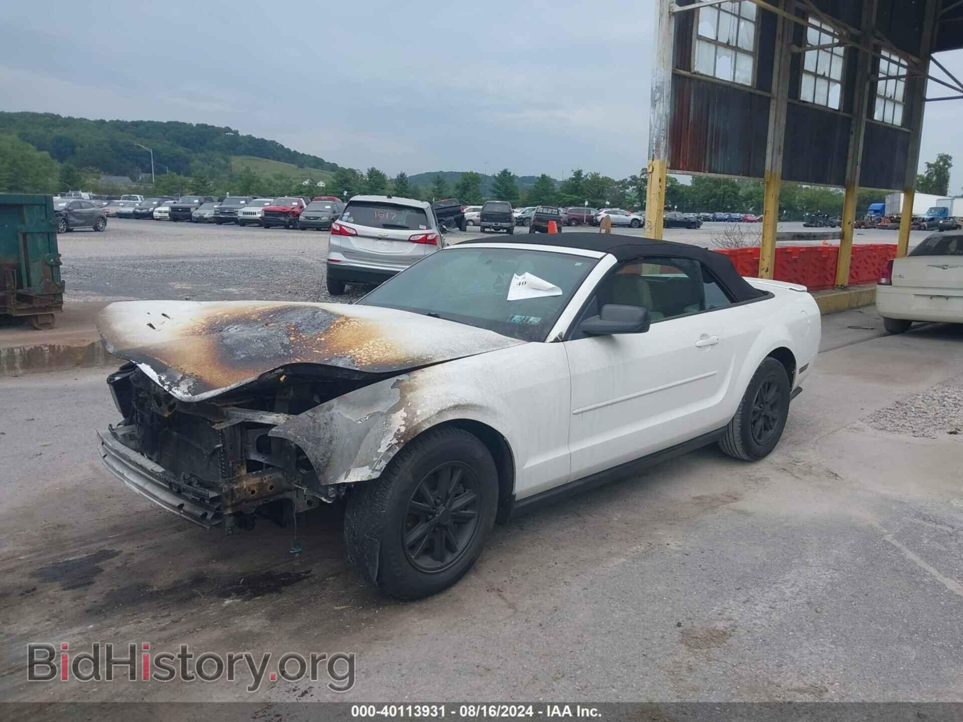 2008 FORD MUSTANG - VIN: 1ZVHT84N885207486 - Фото 2