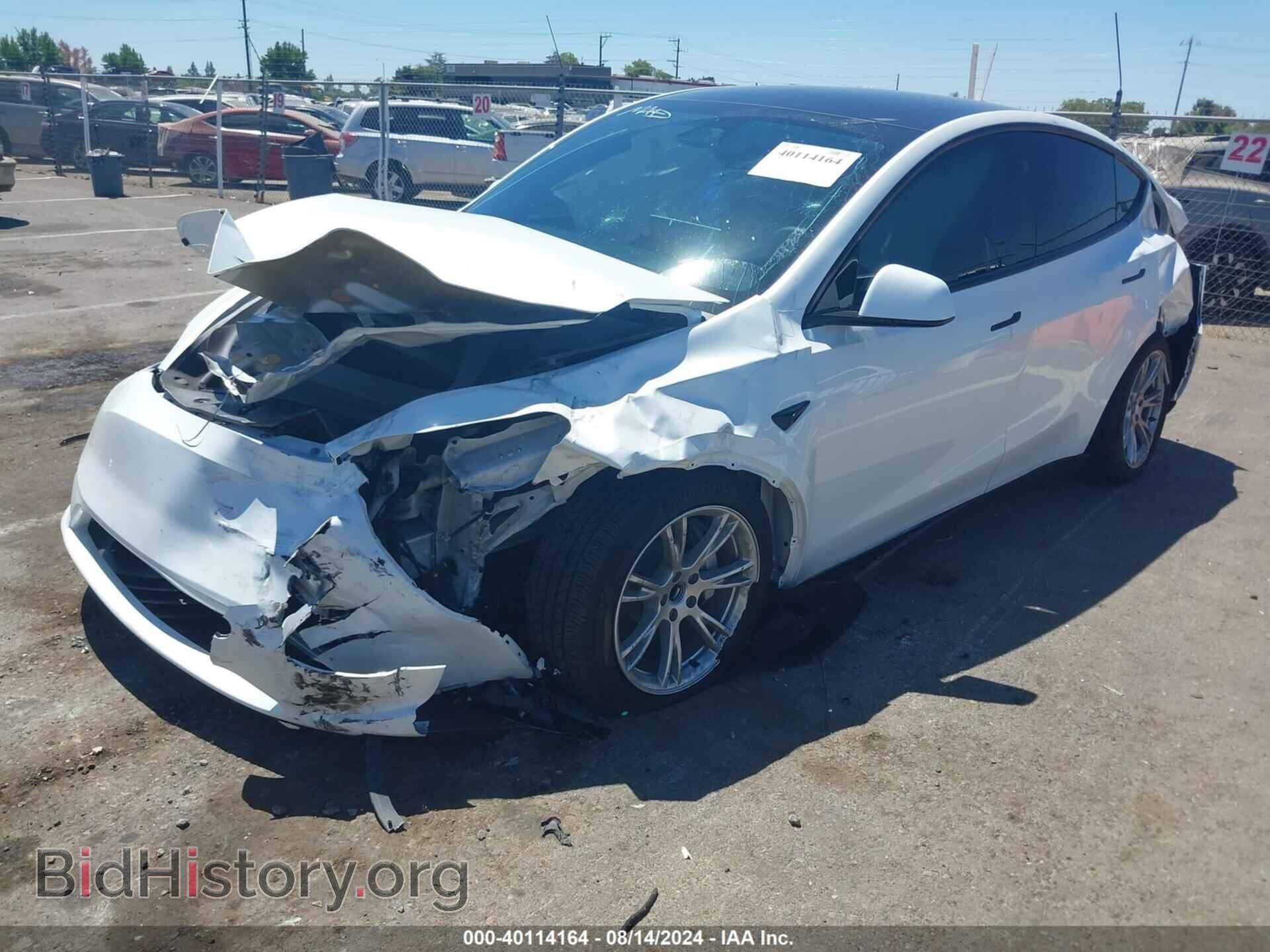 2024 TESLA MODEL Y - VIN: 7SAYGDED5RF015600 - Photo 2