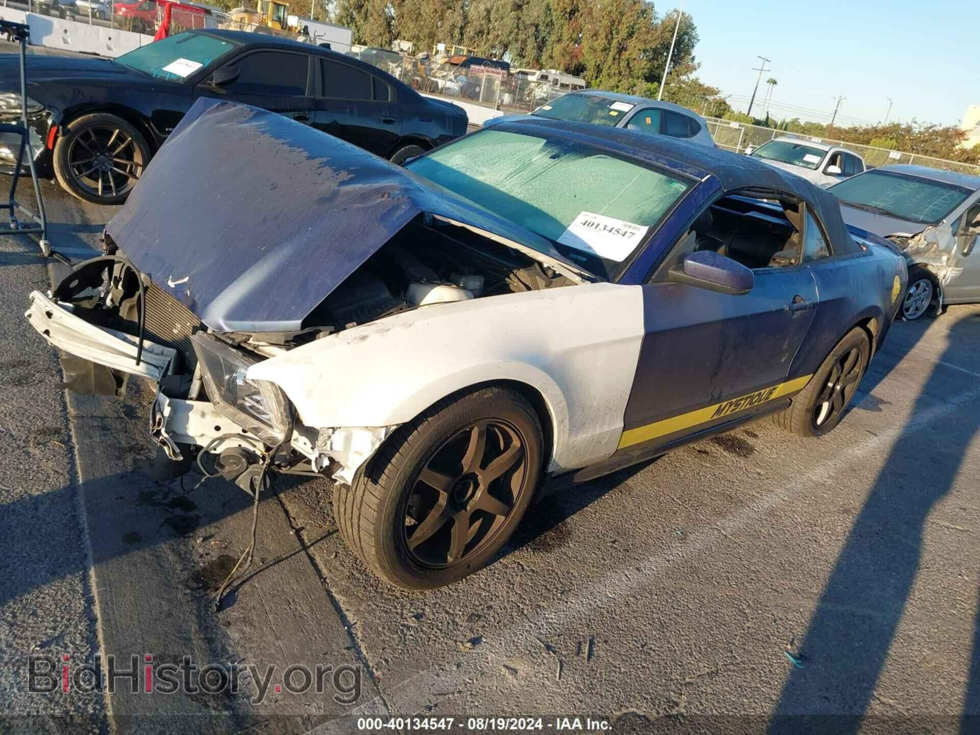 2013 FORD MUSTANG - VIN: 1ZVBP8EM1D5259598 - Фото 2