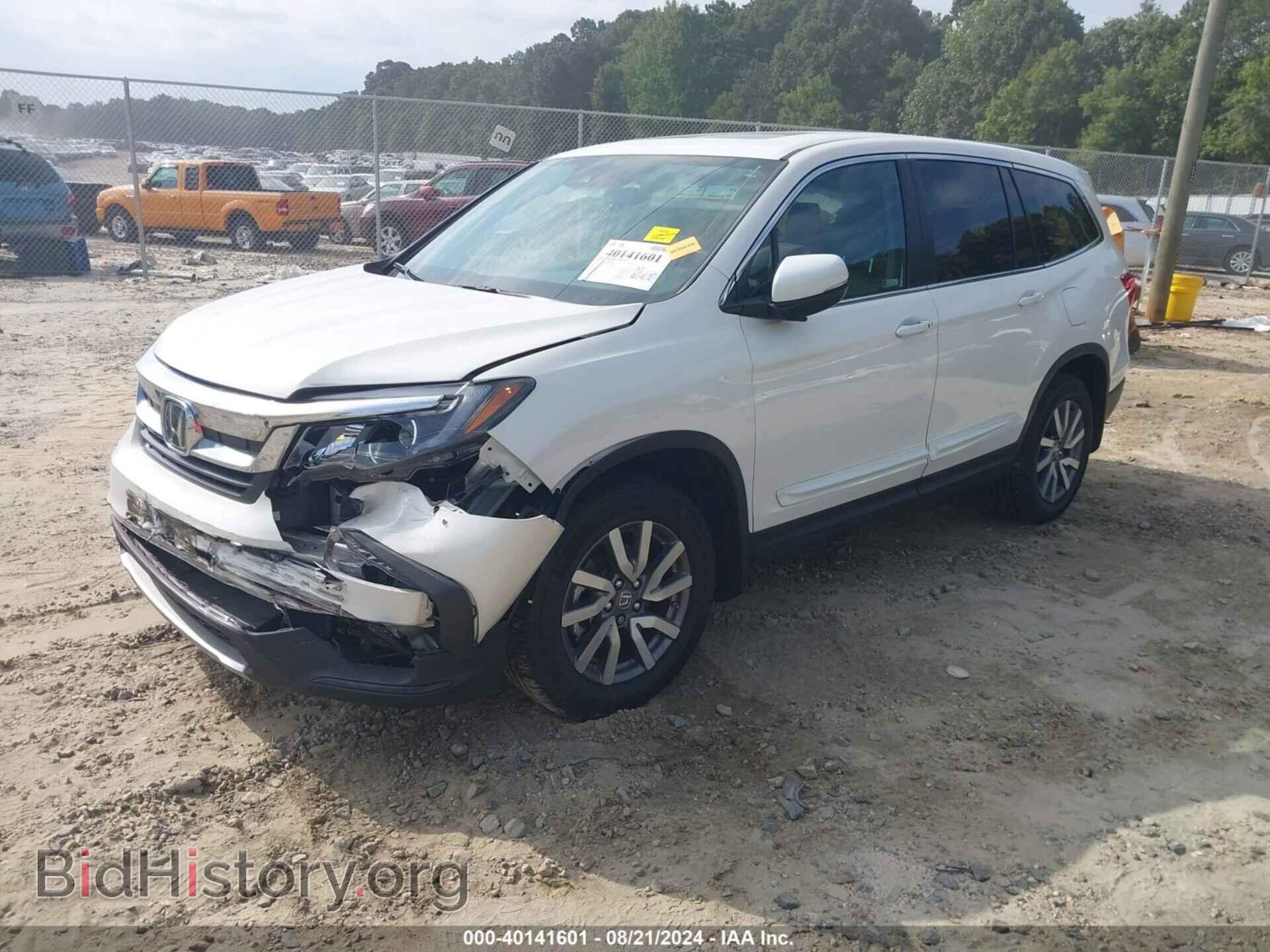 2019 HONDA PILOT - VIN: 5FNYF5H58KB032648 - Фото 2